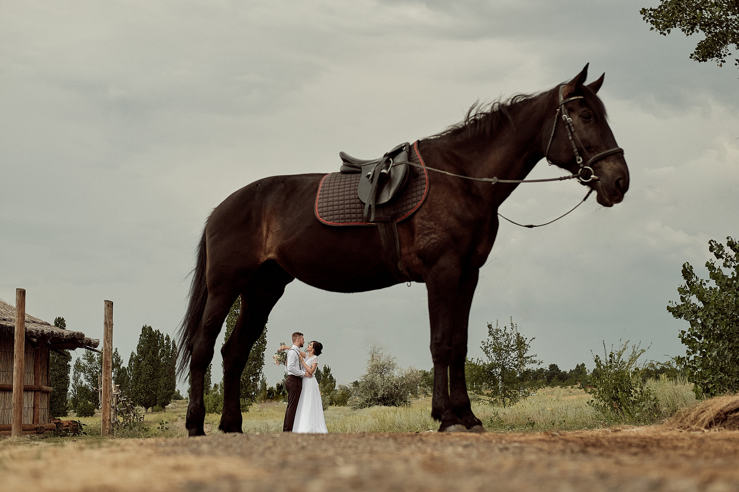 Свадьба Сергеи и Ольга. Свадебный и семейный фотограф в г. Камышин