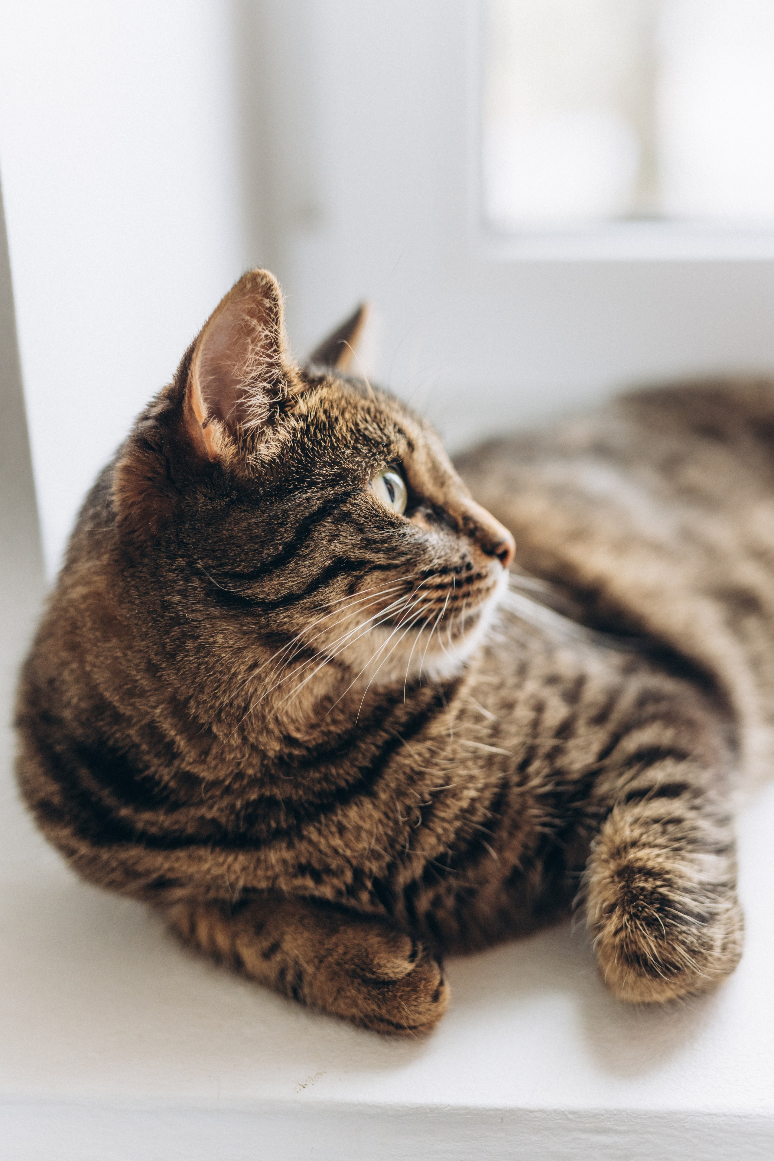 Новорожденный малыш Сева