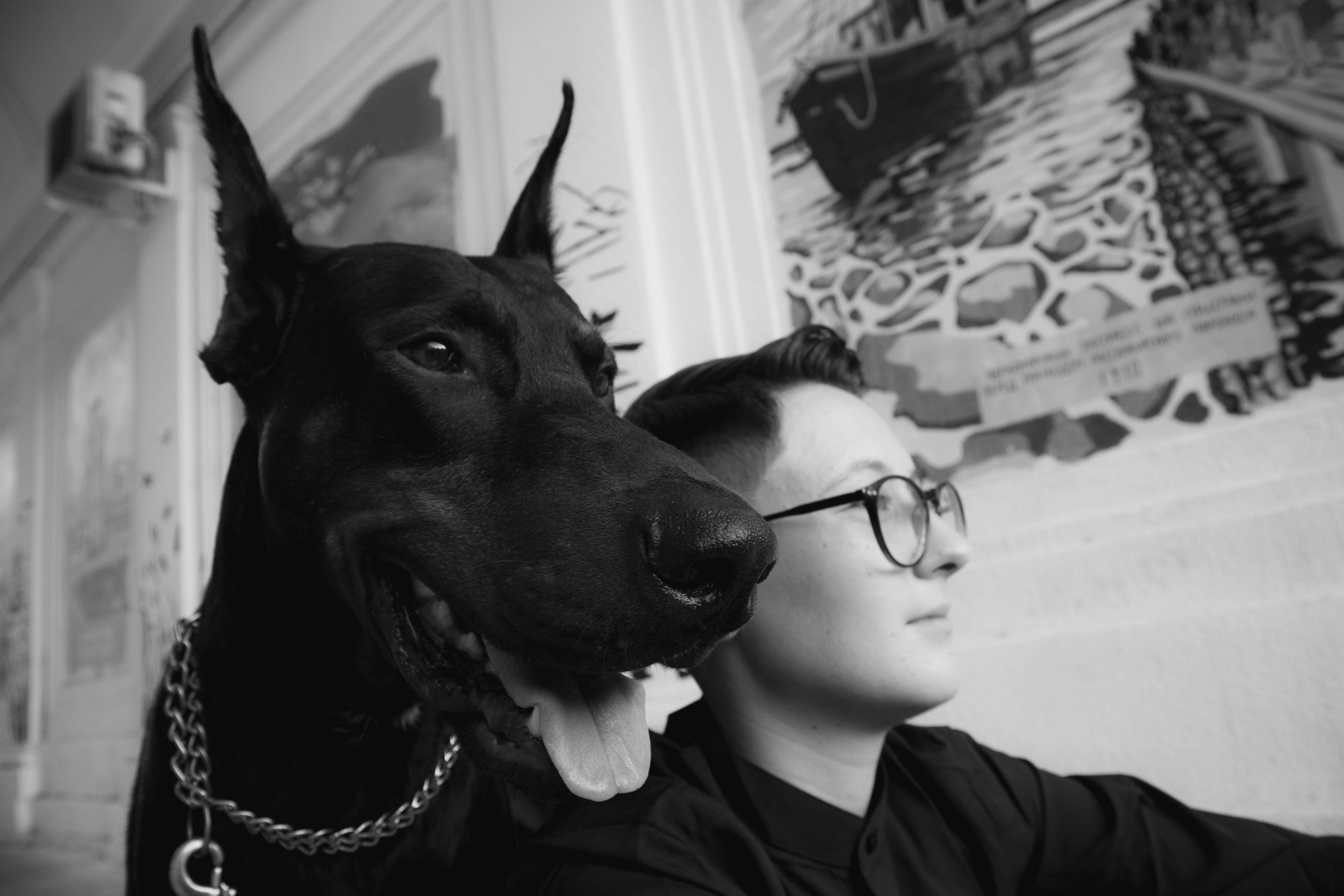 «Жизнь в ритме шага: пара с доберманом». Уличный фотограф Города N