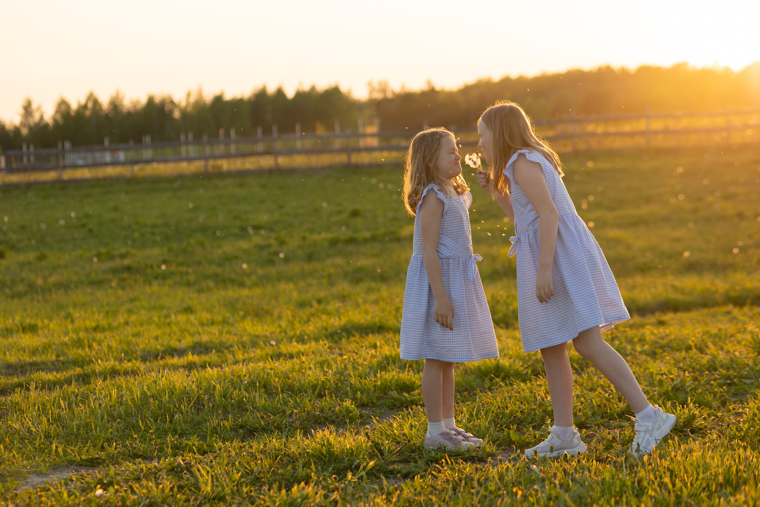 СЕМЕЙНАЯ. Фото, видео, авторские выпускные альбомы в Нижнем Новгороде