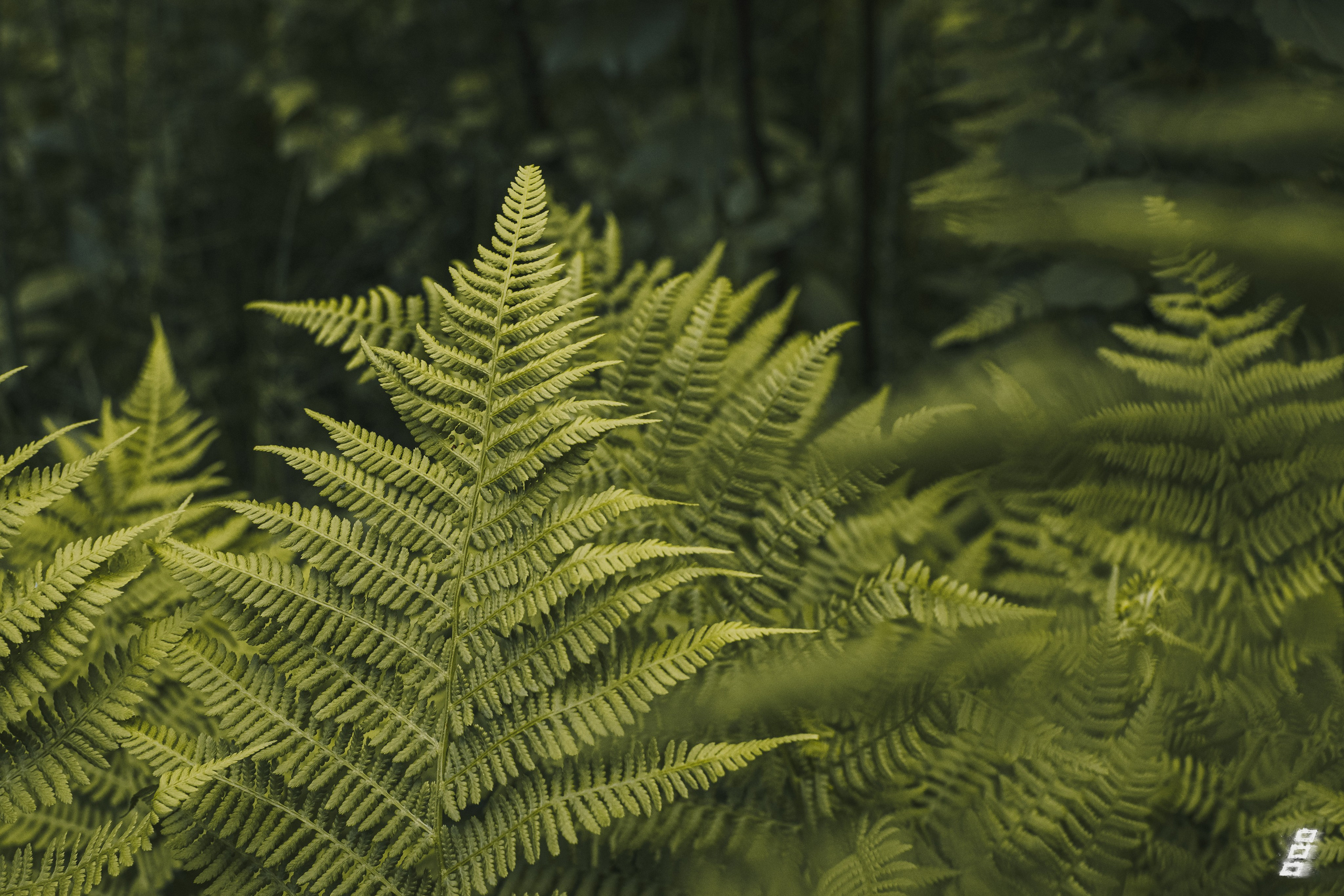 Саватейкин Ярослав | Портретный фотограф в Москве