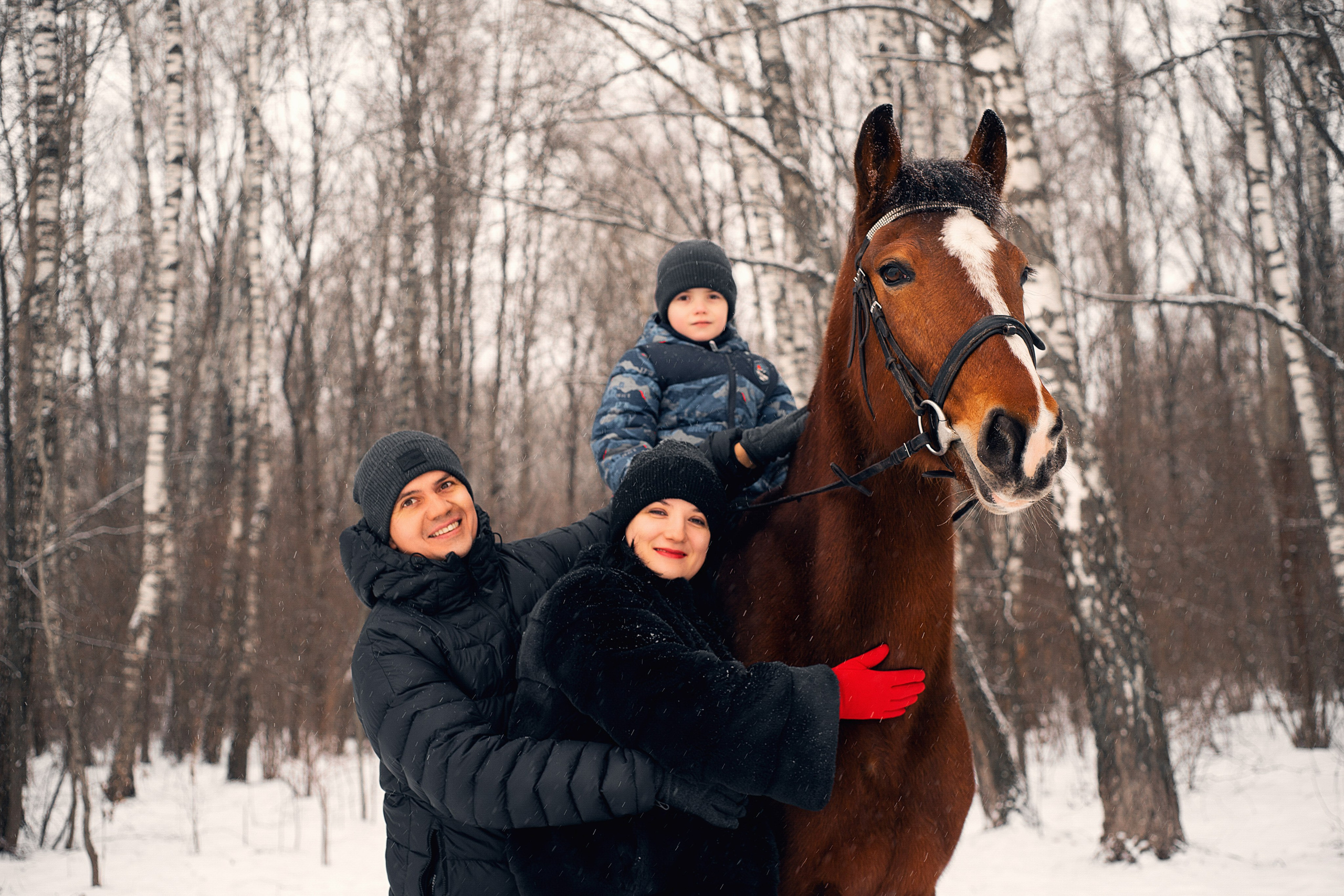 семейная фотосессия с лошадью