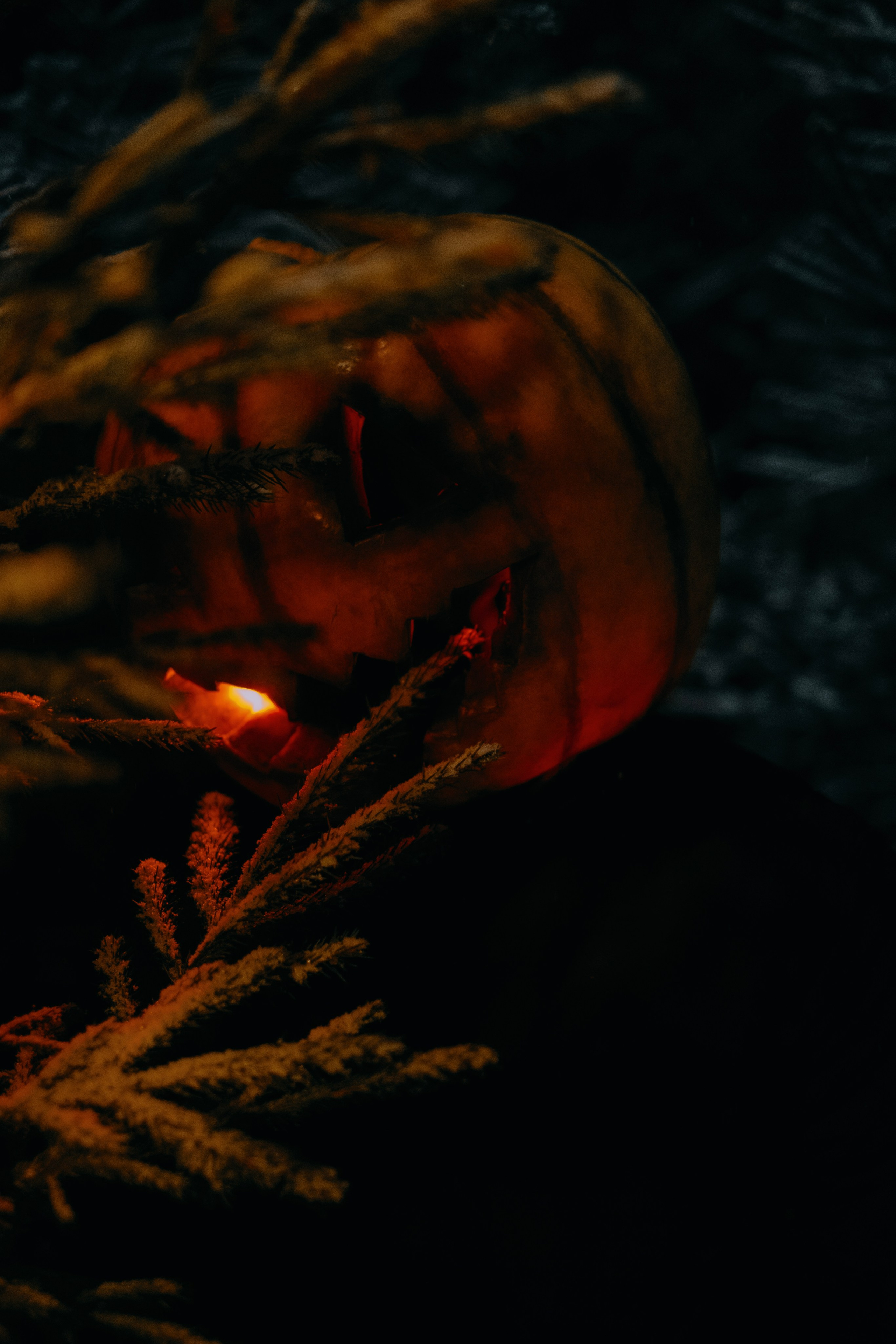 «Избранник тыквенной грядки». Фотограф (Москва, Мытищи)— Комова Анастасия