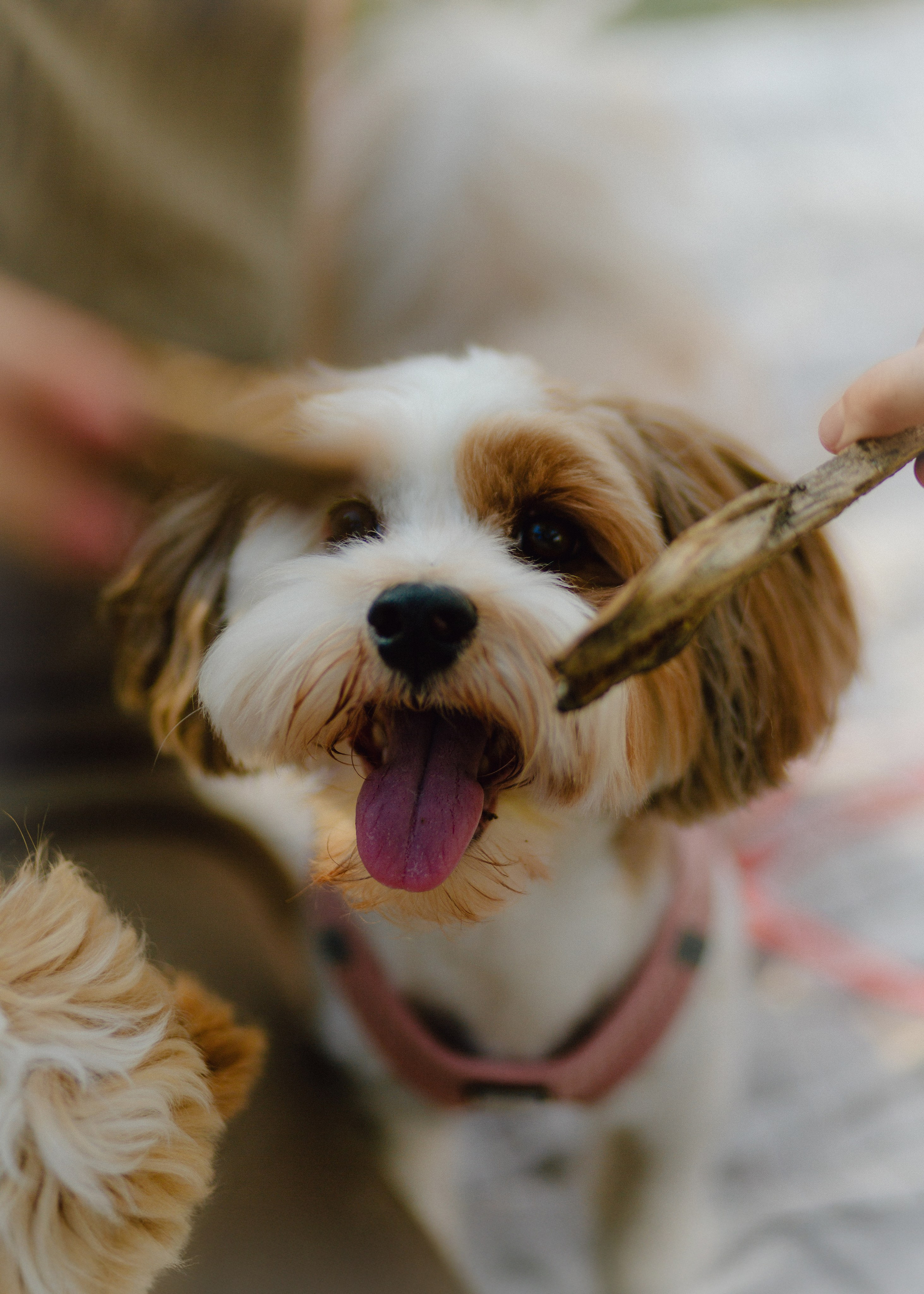 J&J Family. Barbara Isaeva