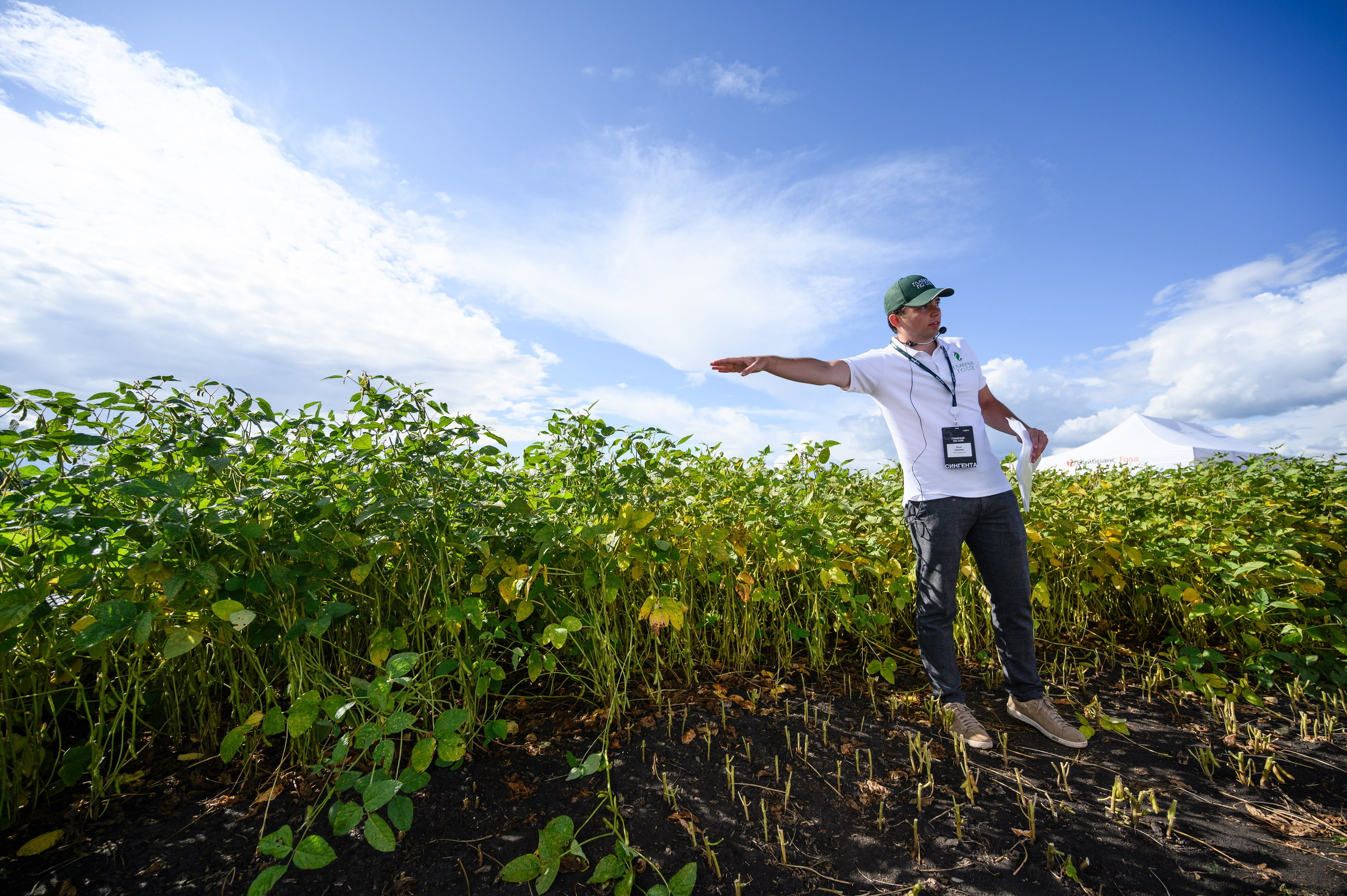 Проекты. Профессиональный фотограф Вячеслав Плацында | Липецк |