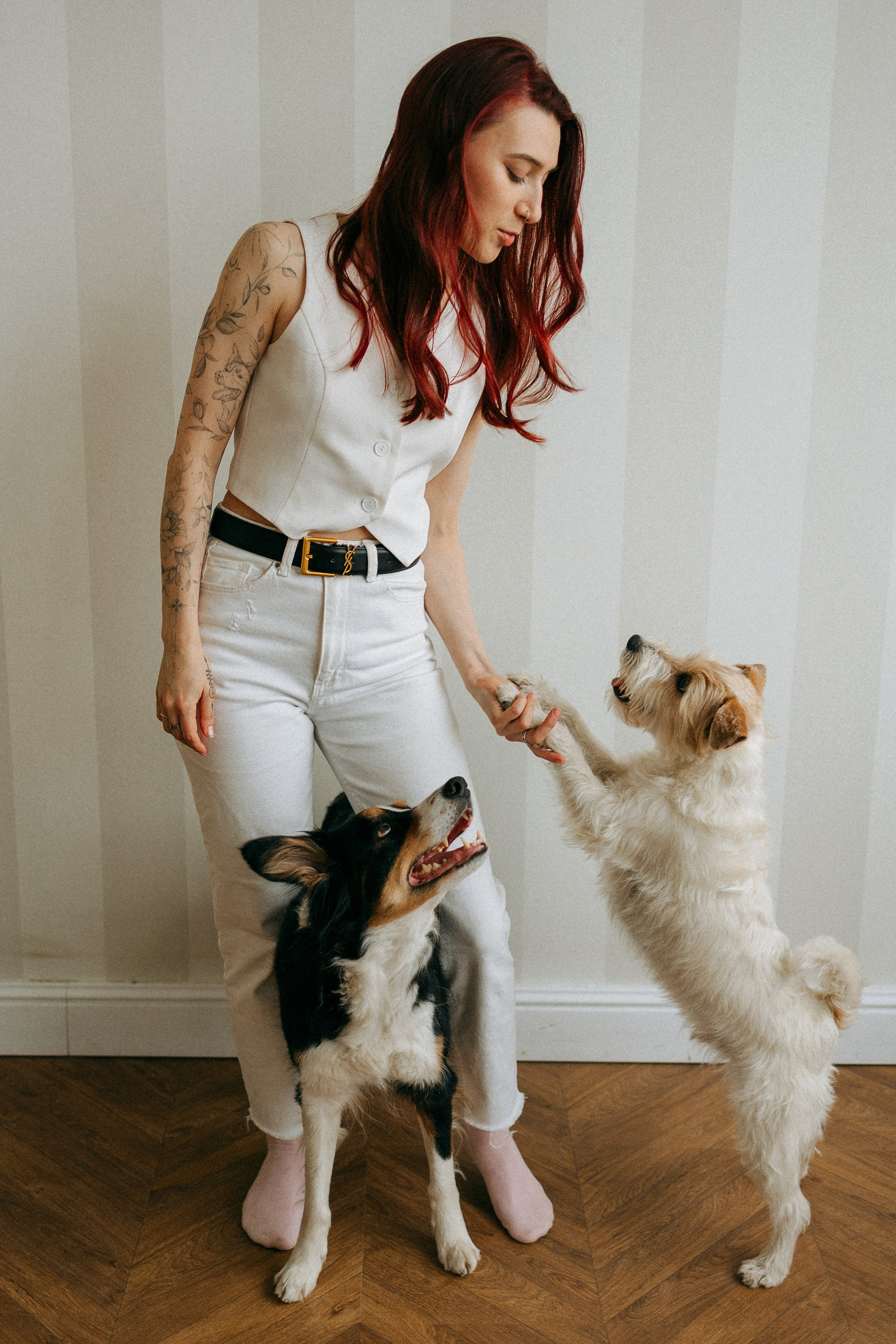 Цунами, Теон и Женя. Фотограф анималист Анастасия Пикей