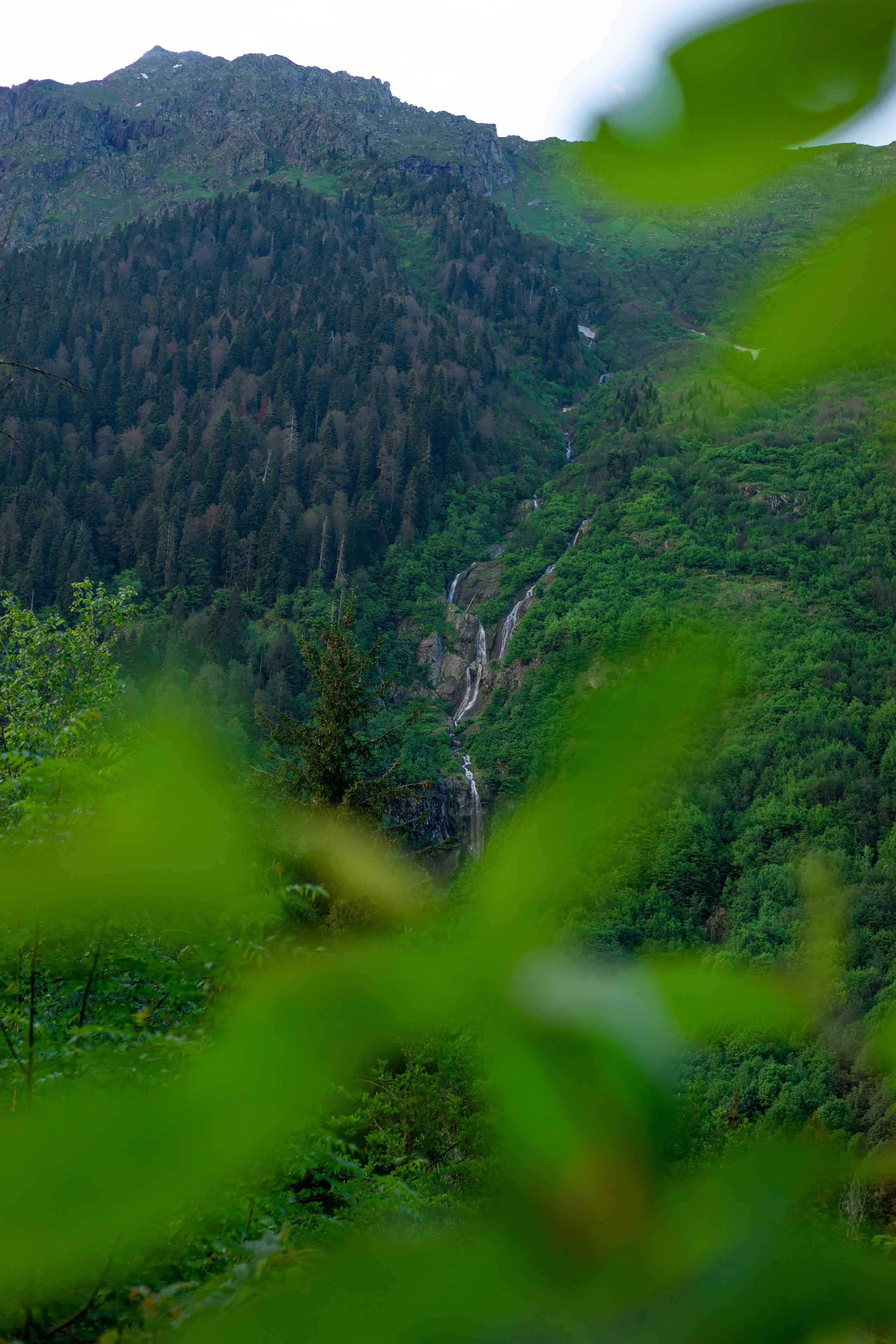 Портфолио. Фотограф Севастополь/Крым Светлана Евтушенко