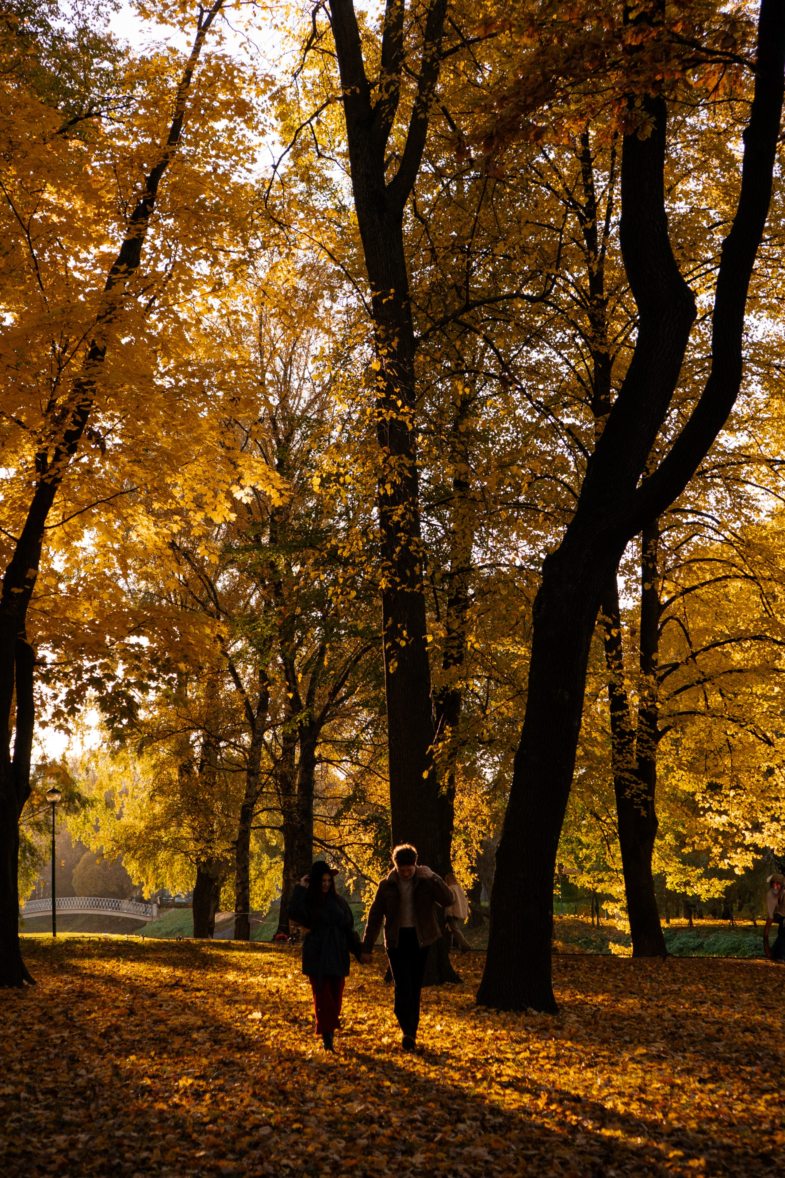 ОСЕННЯЯ ПРОГУЛКА. Профессиональный фотограф, Санкт-Петербург — Виктория Богомолова