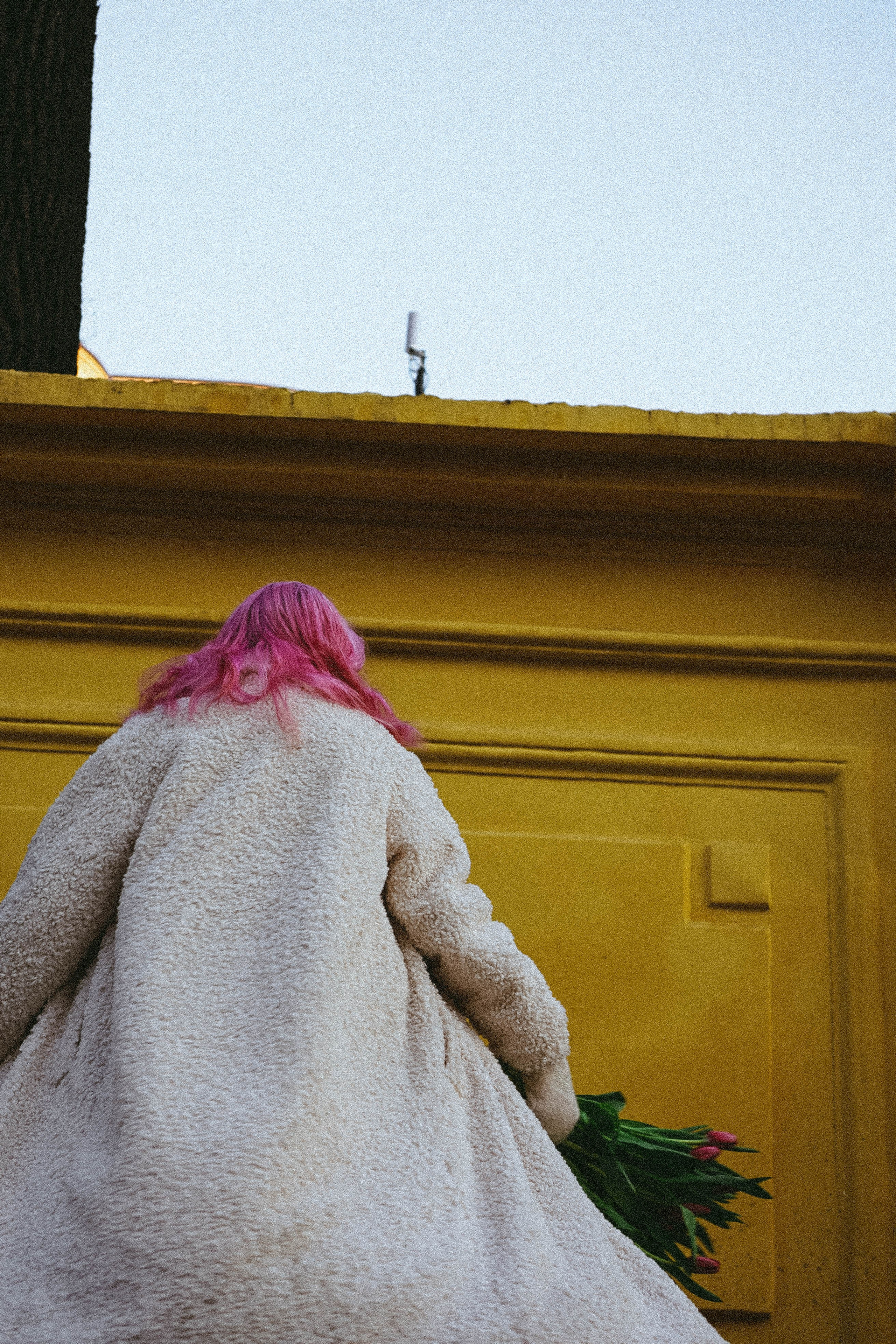 Прогулочная фотосессия с тюльпанами. Профессиональный фотограф, Санкт-Петербург — Виктория Богомолова