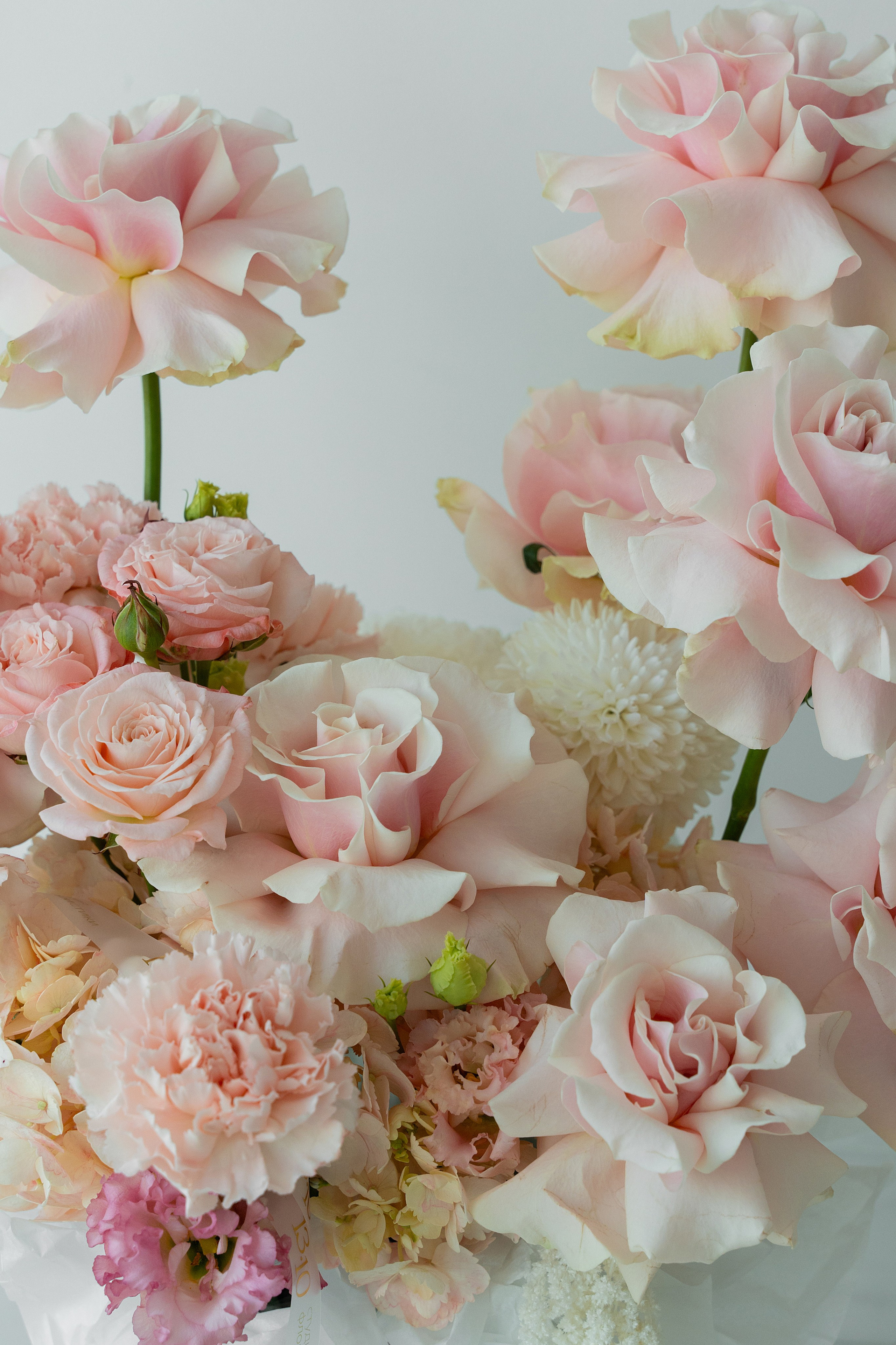 13.10. Пушистая Сова - Свадебный и портретный фотограф Воронеж, Москва, Питер