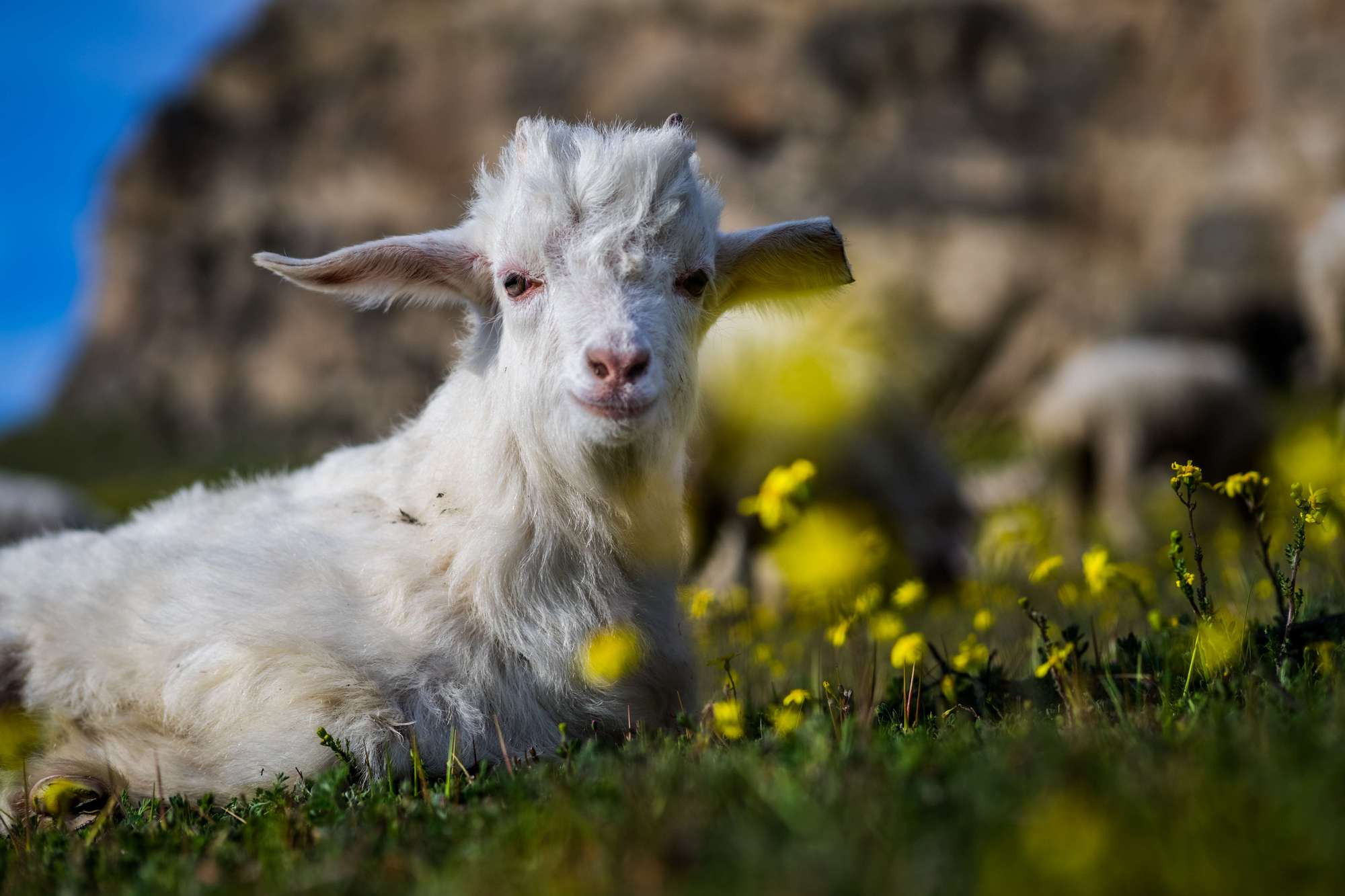 Фототур в Грузию / Сванетия