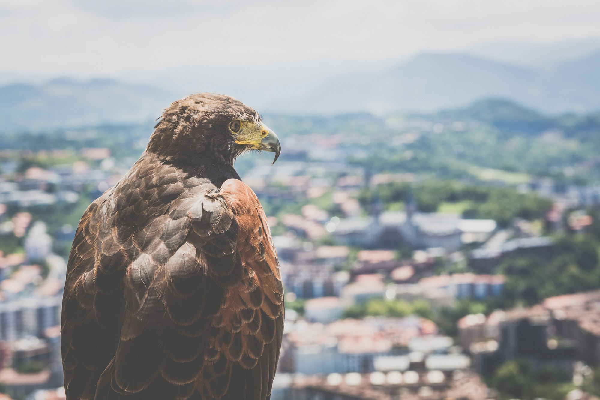 Сан-Себастьян, Страна Басков, Испания