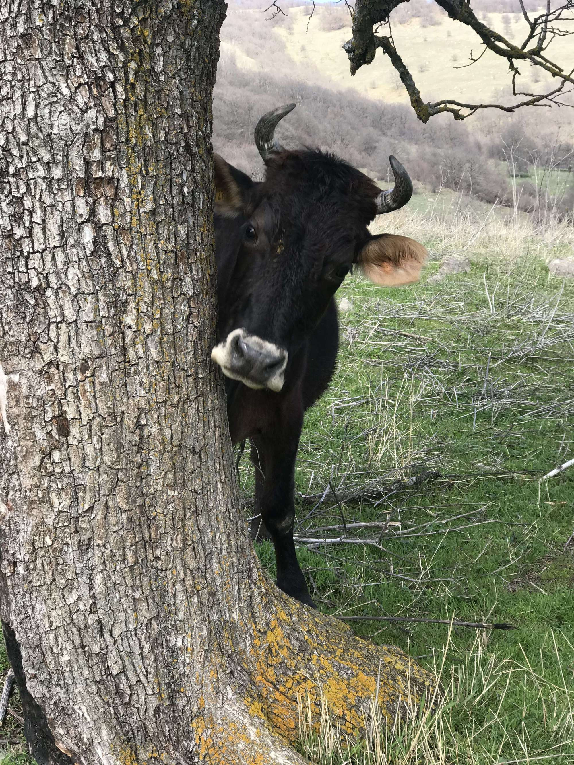 Фототур в Грузию / Сванетия