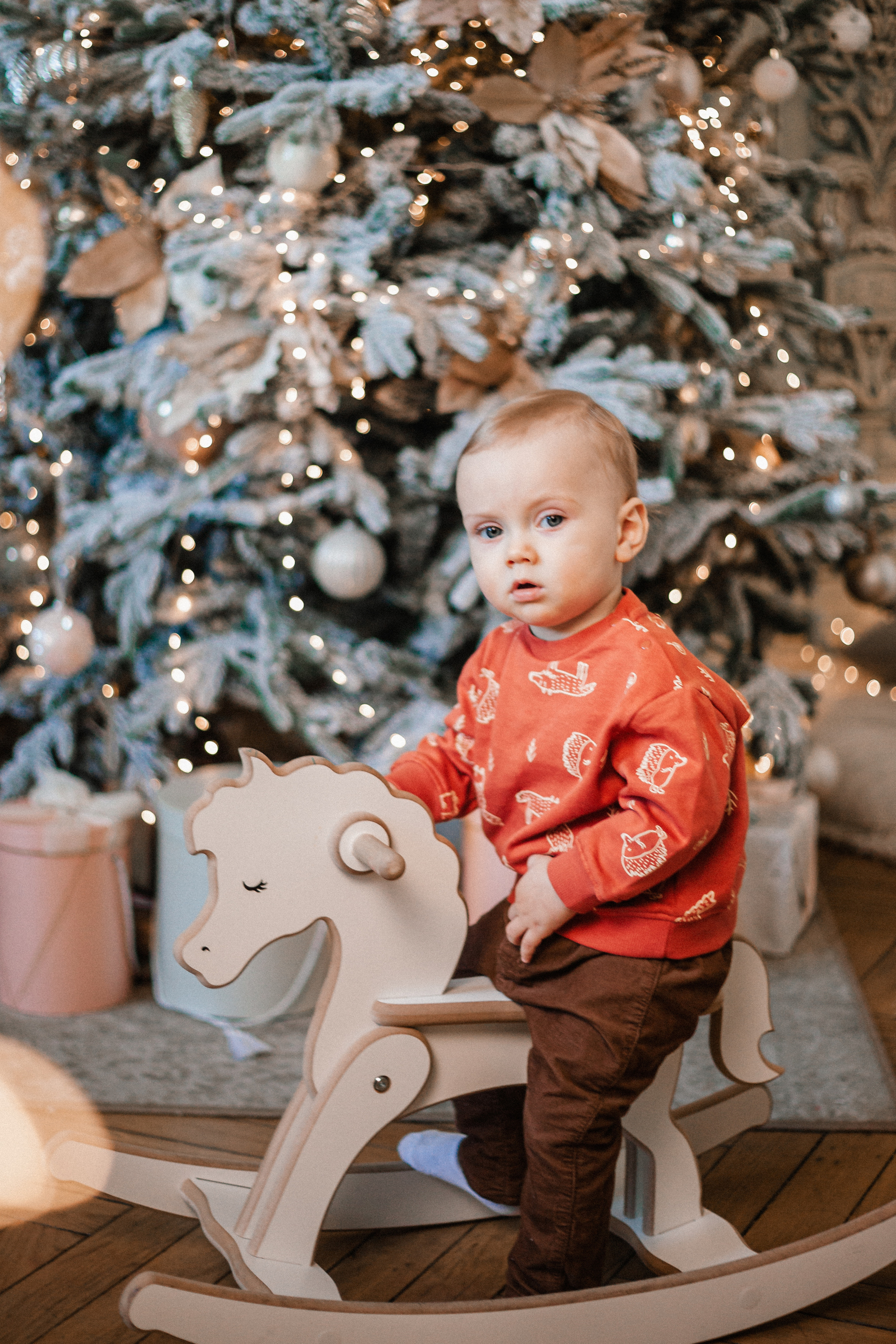Рождественская сказка. Портретный и семейный фотограф в Воронеже Ксения Ремизова