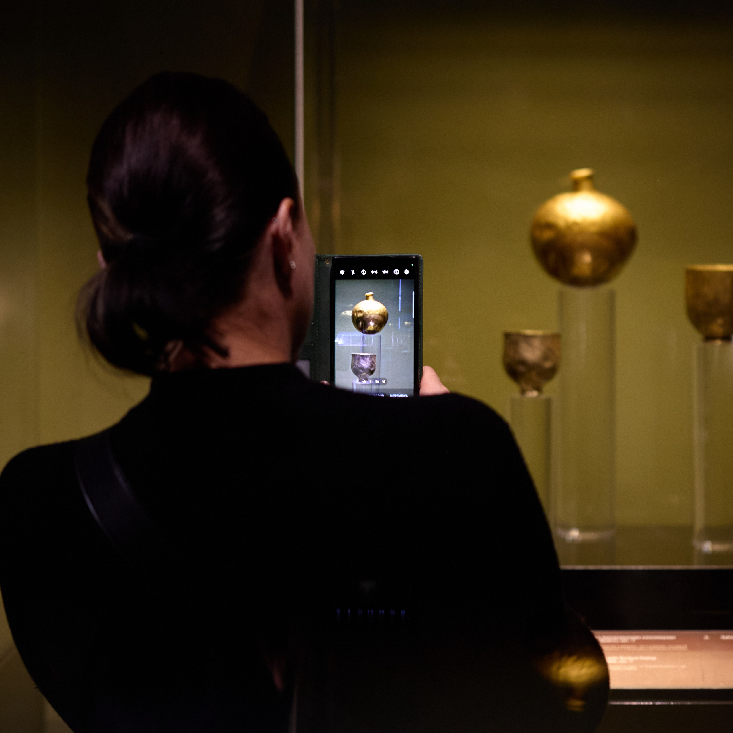 Пушкинский музей. Фотограф в Москве Илья