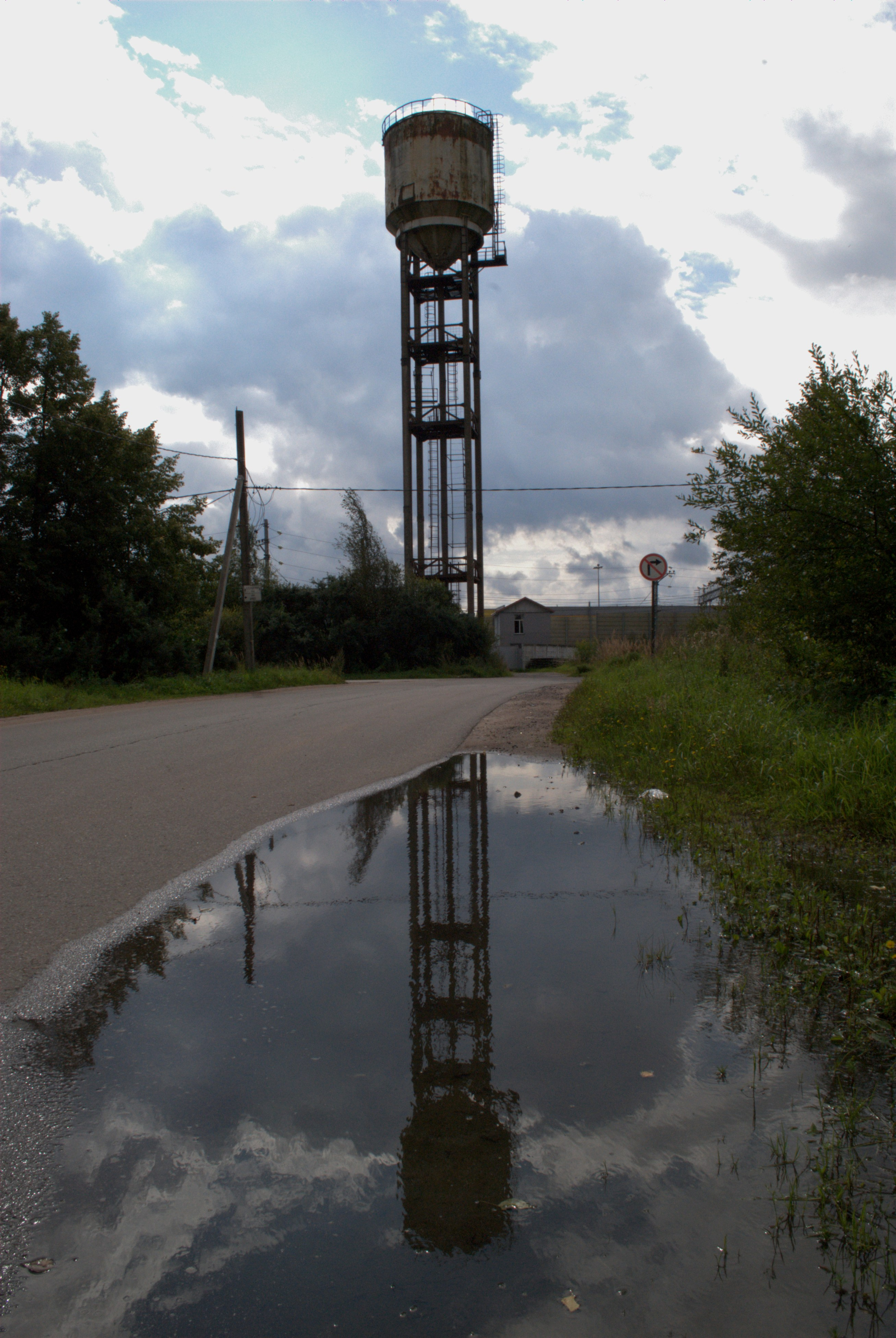 Мга. Надежда Козлова, фотограф, Санкт — Петербург
