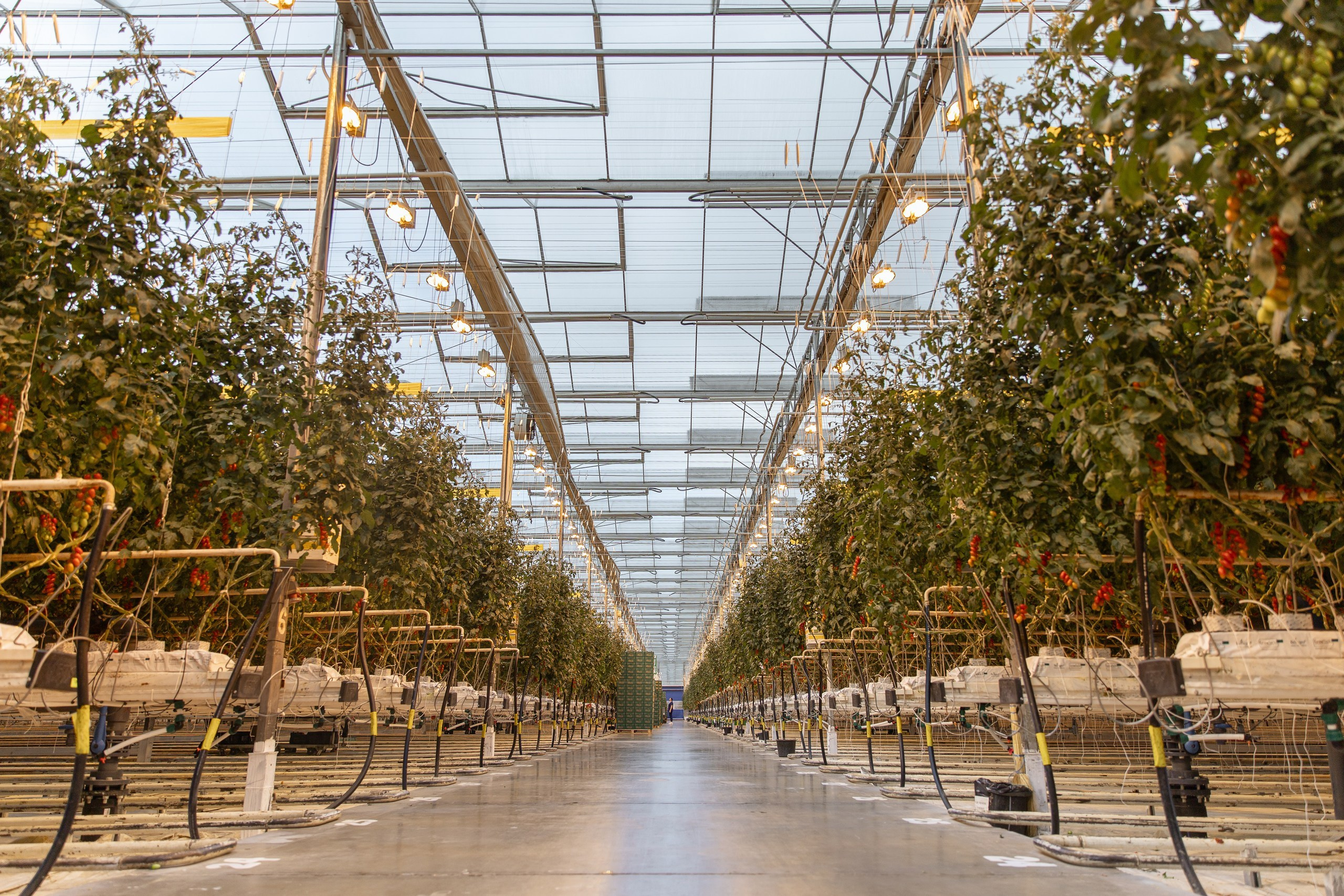 Производство. Фотограф Николай Петрушкин | Ставрополь, Москва