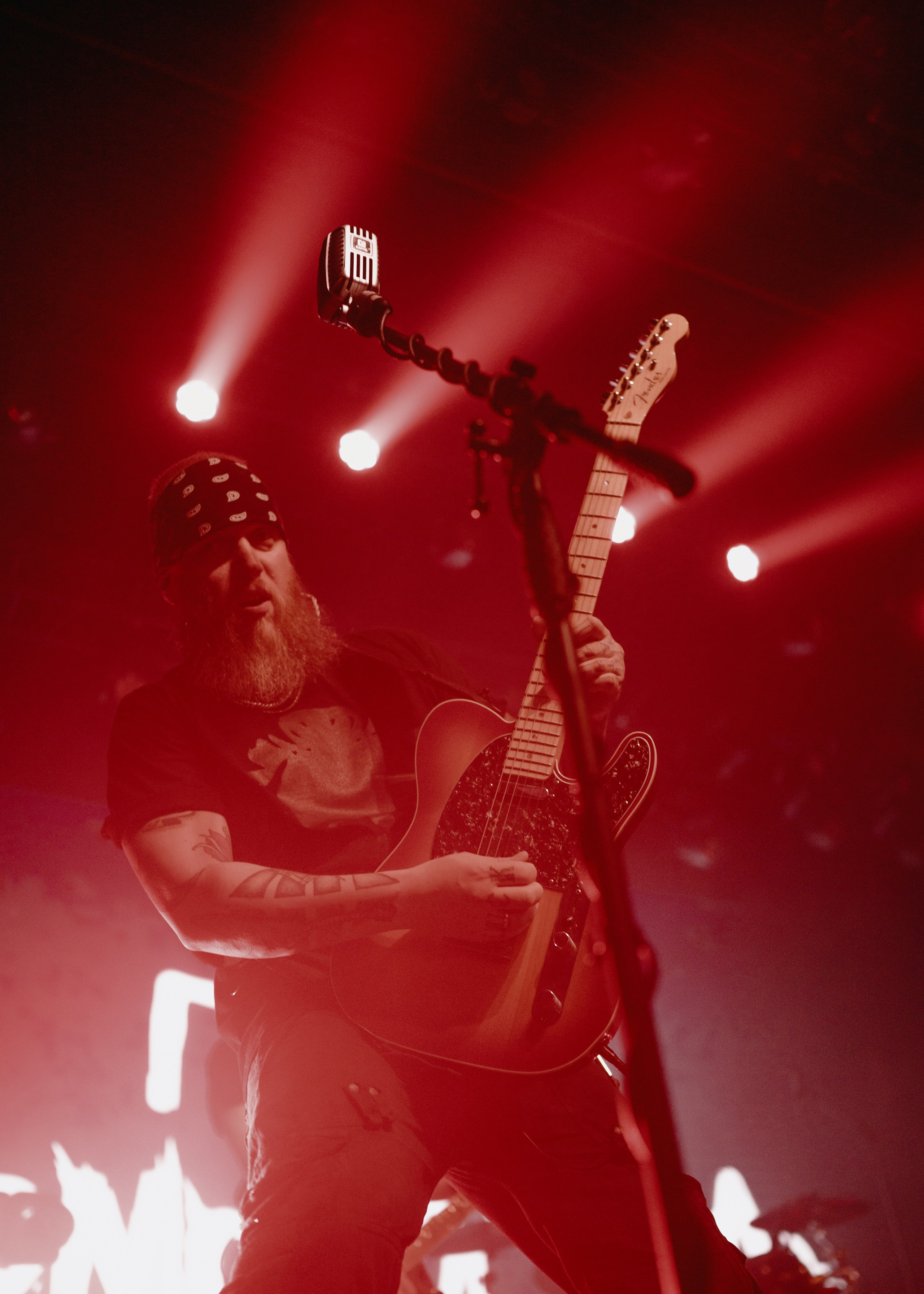 План Ломоносова GAUDI. Контент фотограф Илья Урс