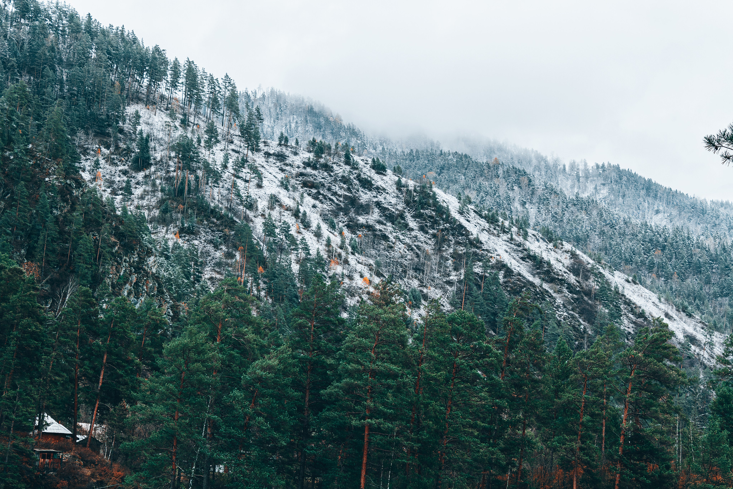 Фотографии Горного Алтая. Фотограф в Новокузнецке