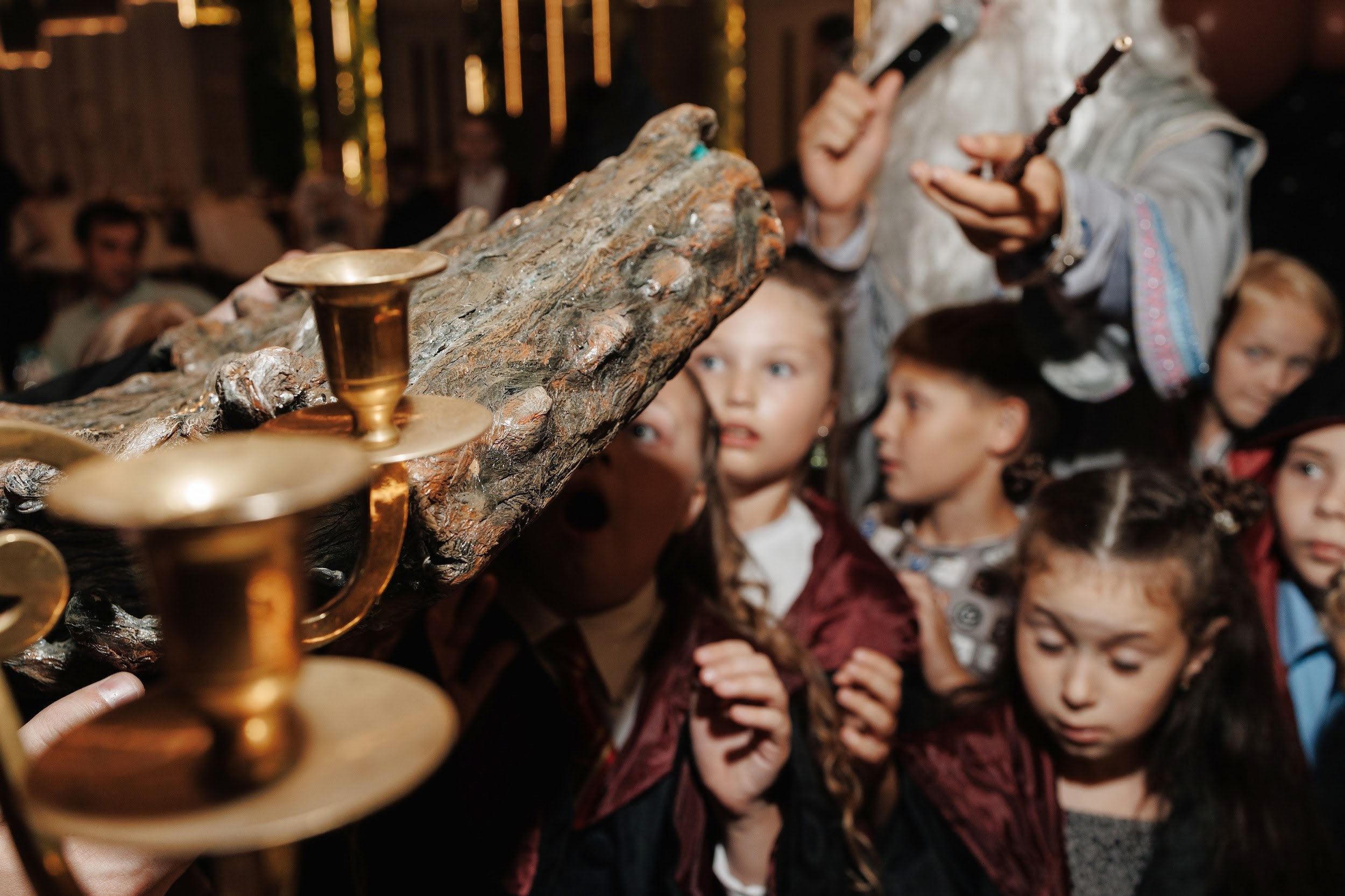 Harry Potter. Свадебный и репортажный фотограф в Воронеже Сергей Максимов