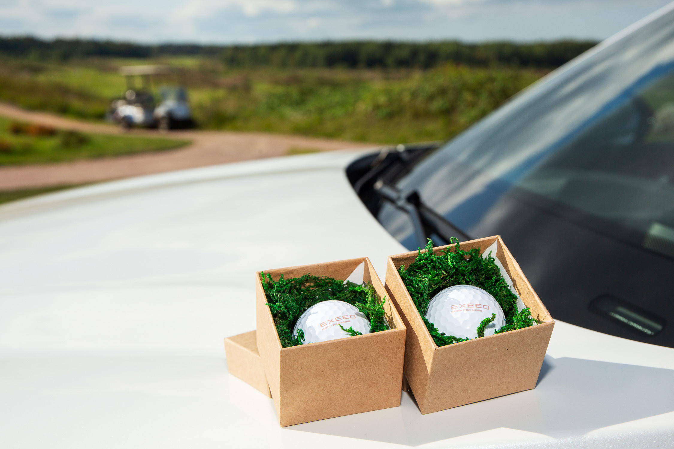 Репортажная фотосъёмка в Санкт-Петербурге. Фотограф на мероприятие: выставки, презентации, автогонки. Фото для сайта, отчётов и публикации в сми. Профессиональный фотограф Сергей Пушкин. Корпоративная фотосъёмка. Автопром. Автомобили. Гольф. Загородный отдых. Выездная фотосессия.