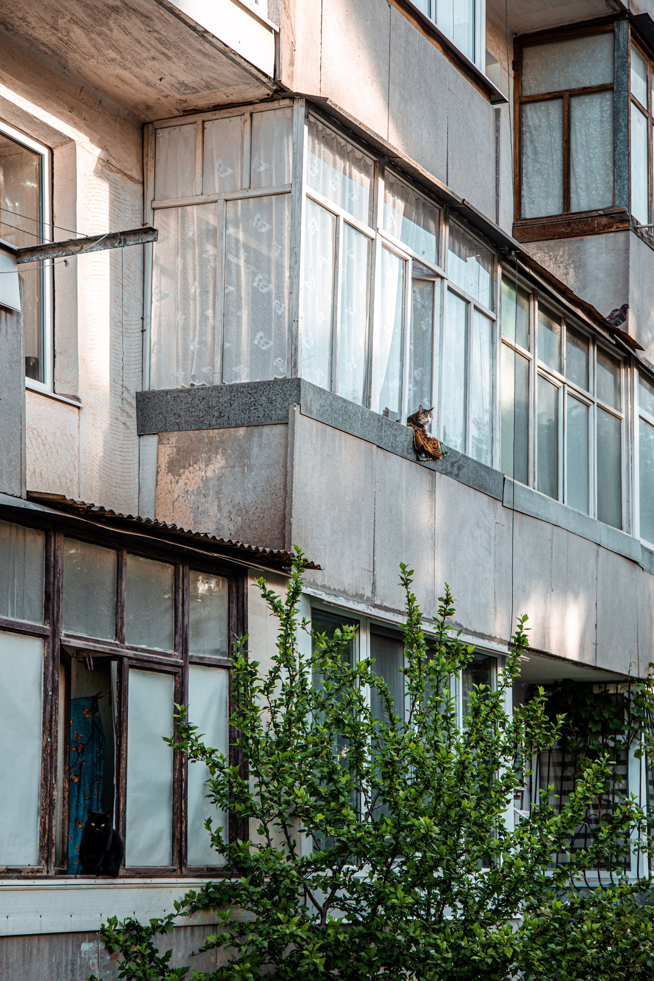 Фотограф Татьяна Марсуверских г. Жуковский, Москва и Мо. Репортажные съёмки, фотосессии,  фотограф анималист, фотосъёмка животных. Фотограф для маркетплейсов, фотоуслуги в Жуковском Татьяна Марсуверских