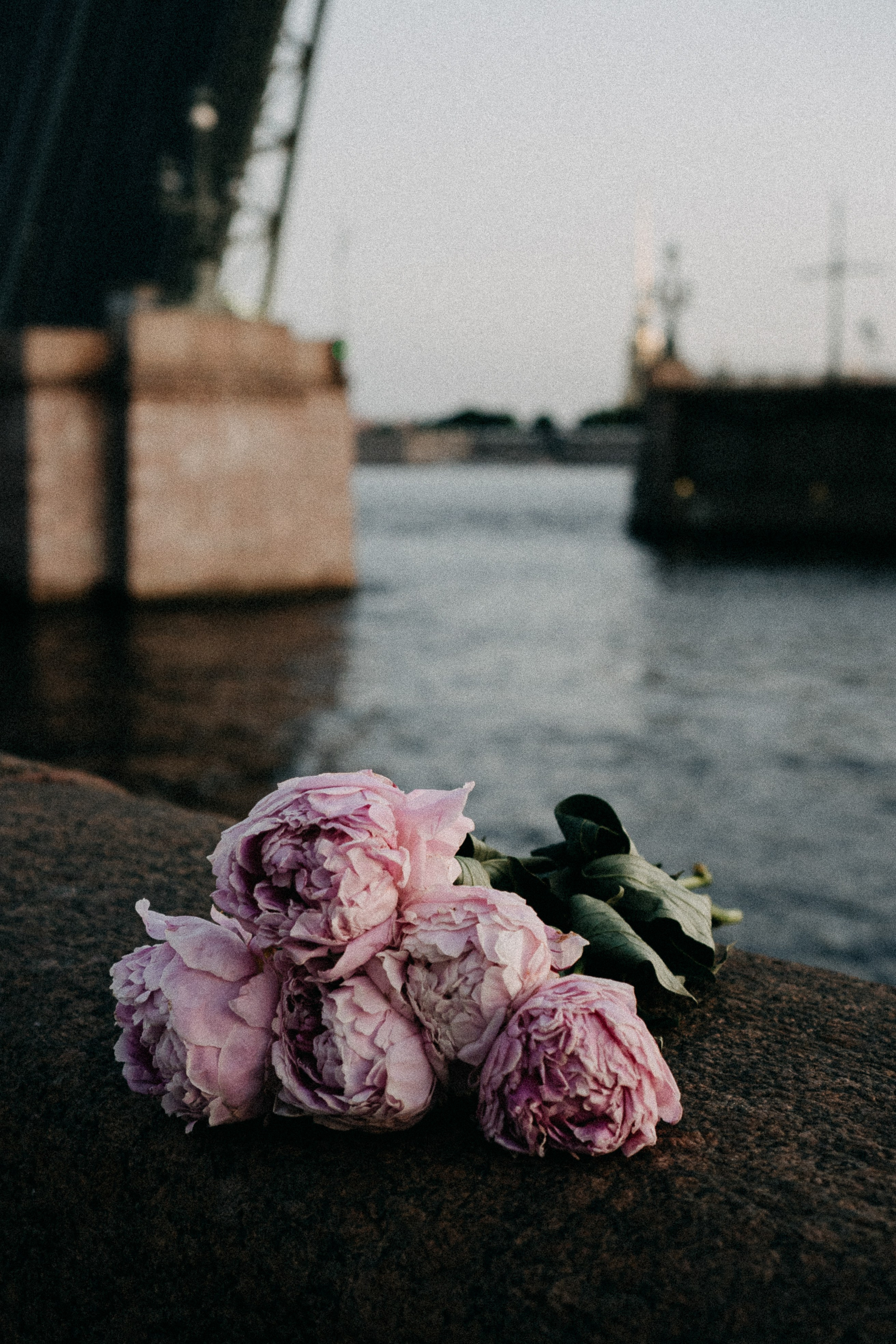 Сьемка мечты. Профессиональный фотограф, Санкт-Петербург — Виктория Богомолова