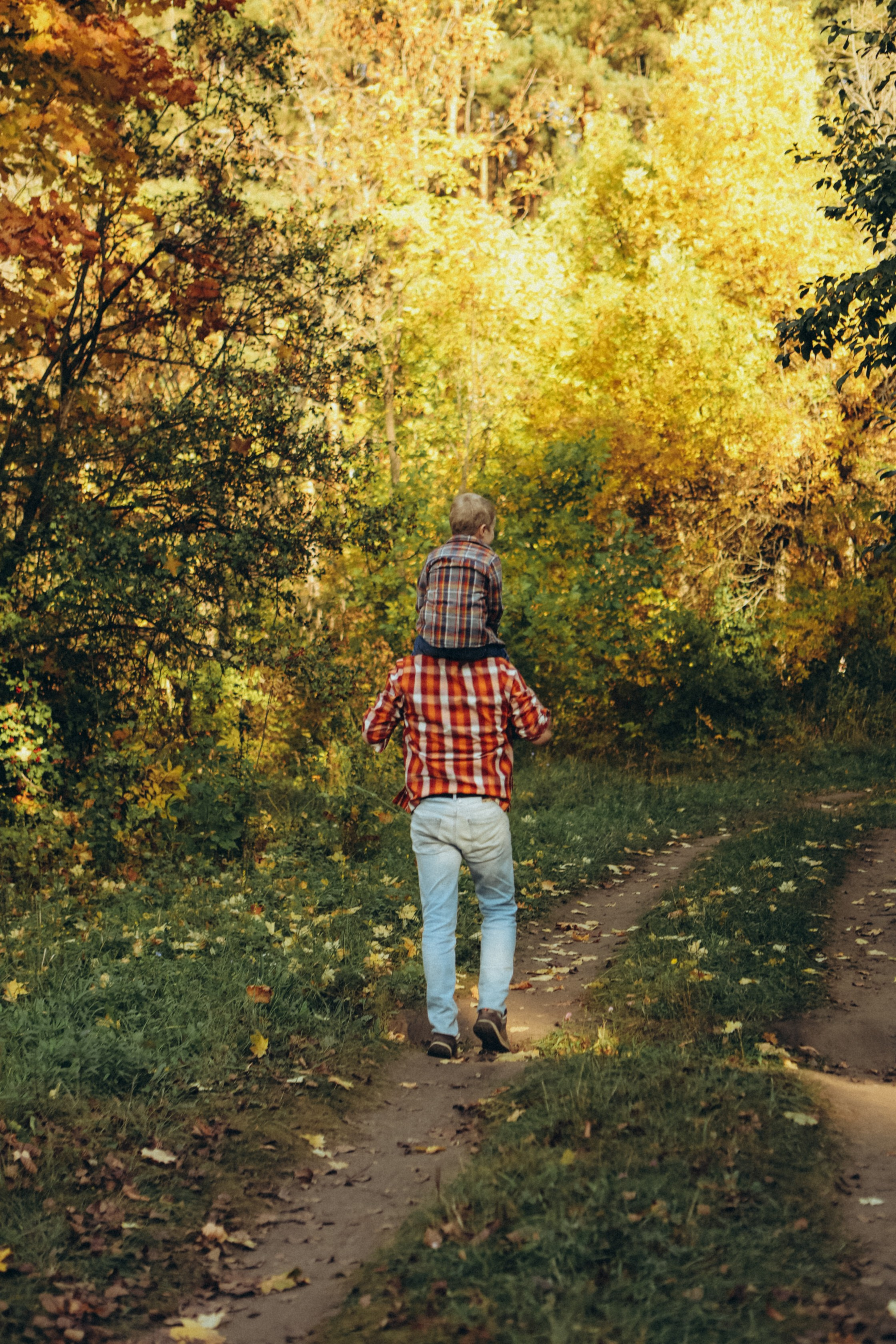 Лес. Семейный и репортажный фотограф в Орле