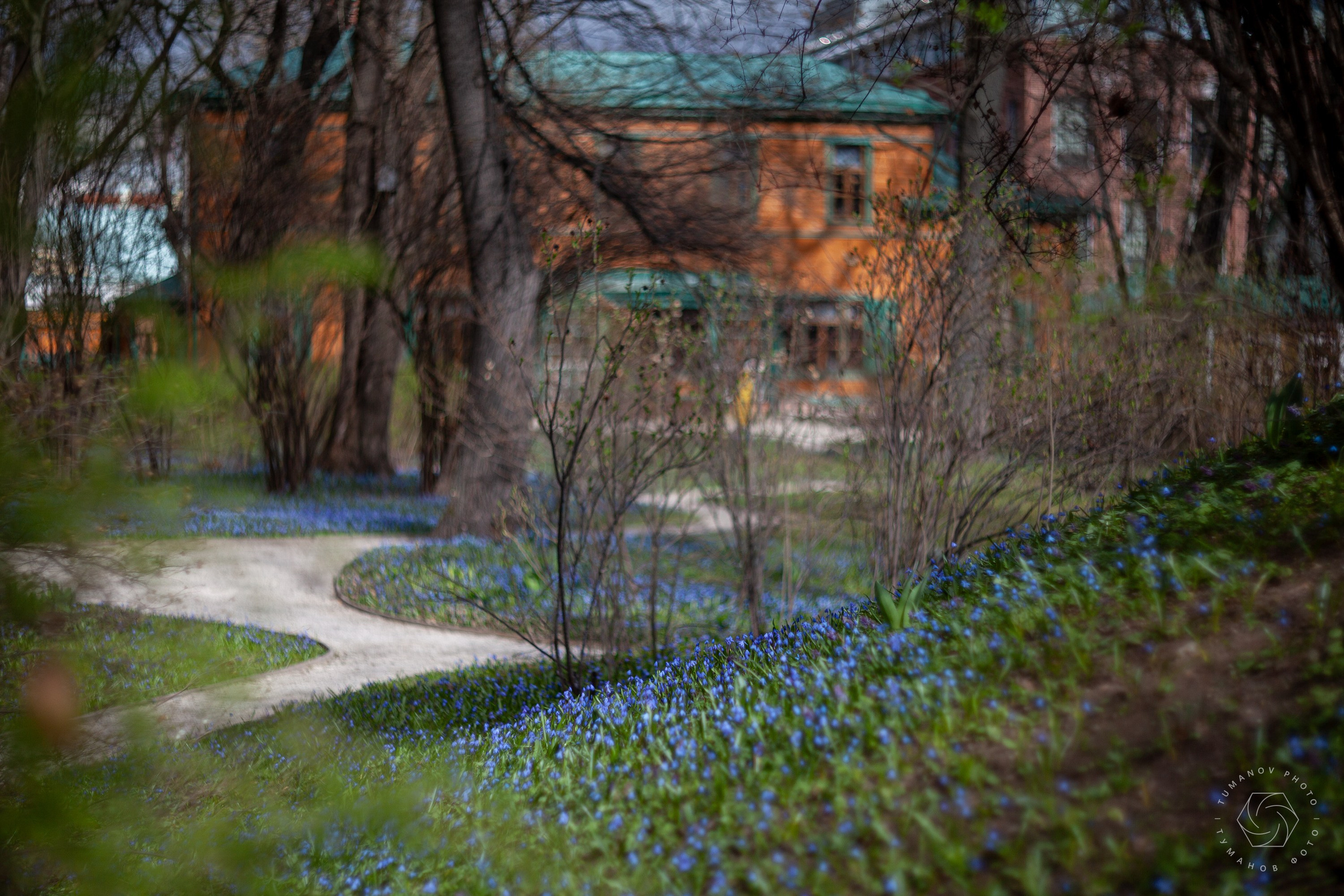 Усадьба Л. Н. Толстого в Хамовниках. Туманов Виталий — фотограф Москва
