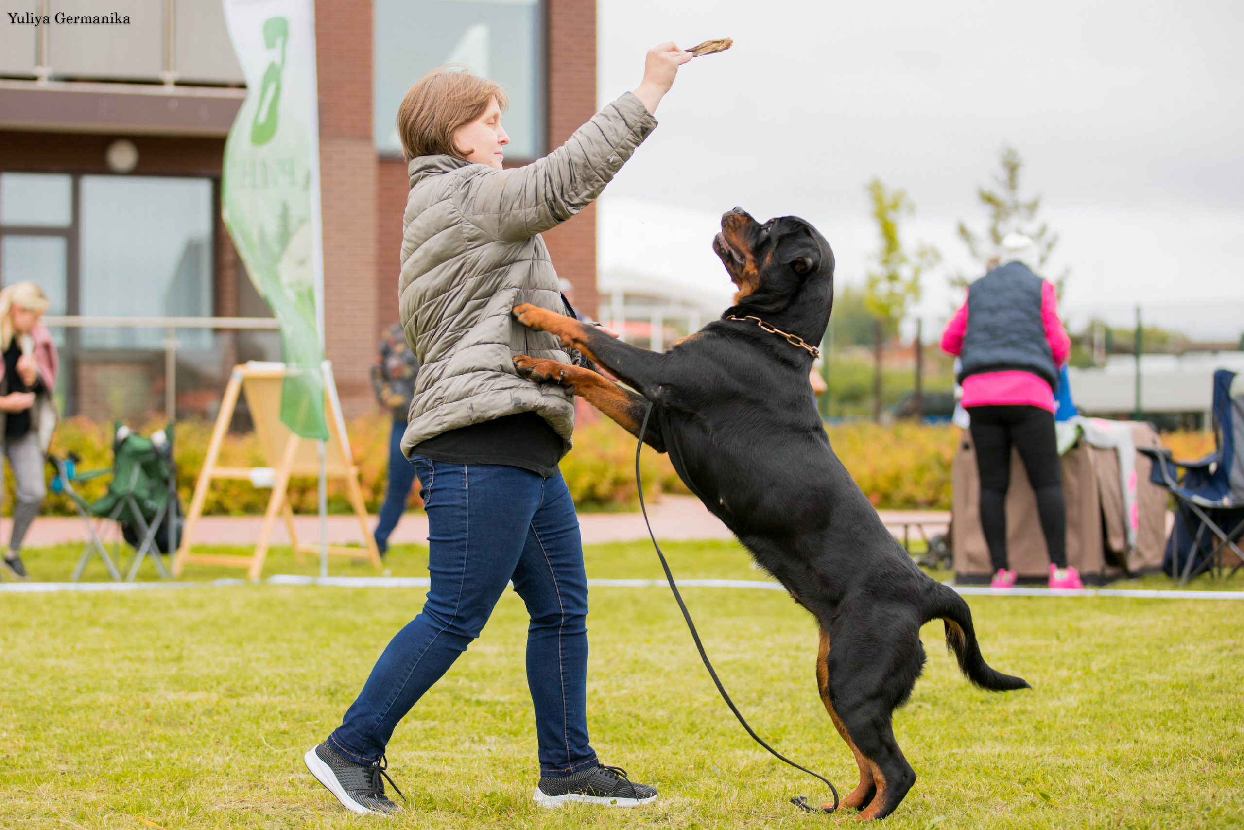 Переславль 9-10.09.2023. Фотограф-анималист Юлия Германика