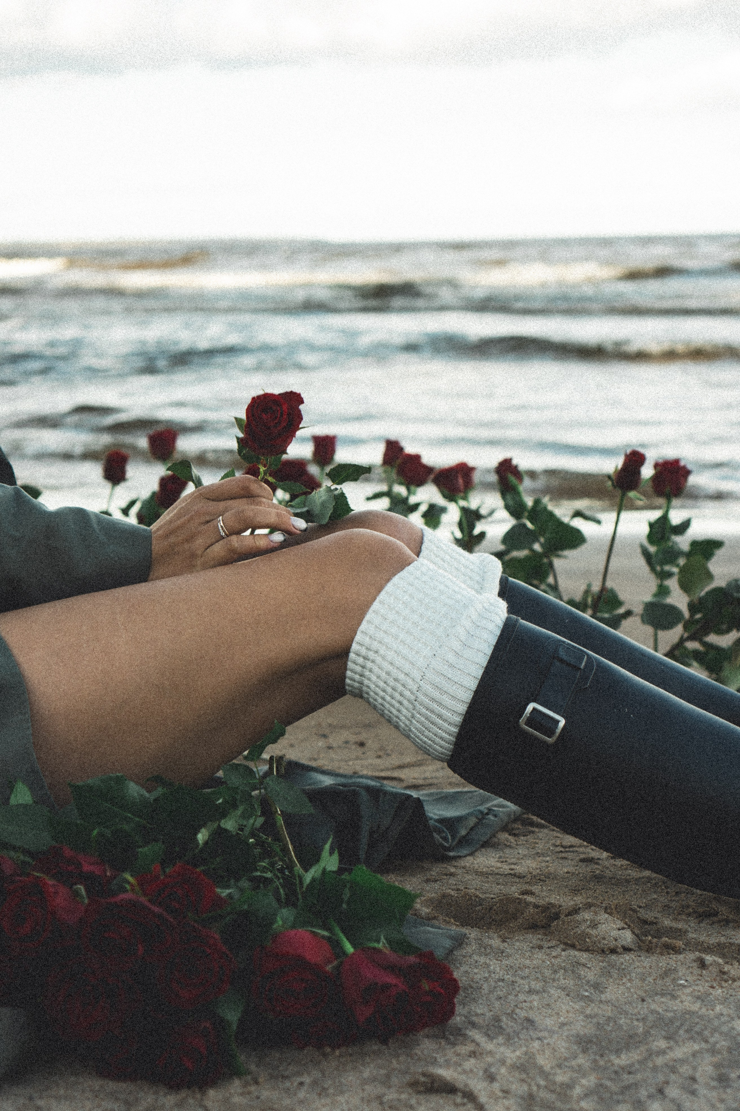 Розы. Профессиональный фотограф, Санкт-Петербург — Виктория Богомолова