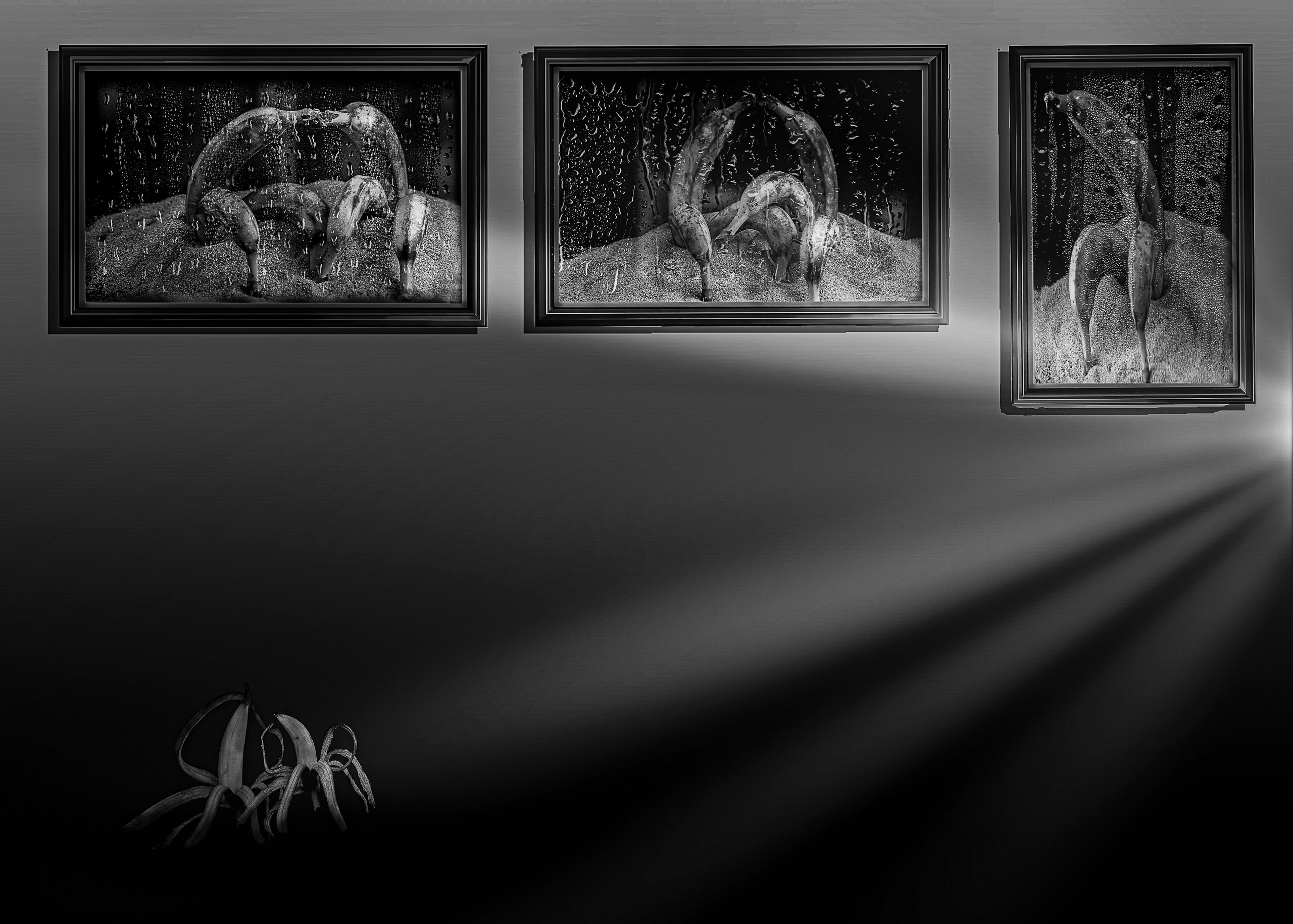 Банановая галлерея. Медиапродюсер, фотограф в Минеральных Водах —Виктор Холодов