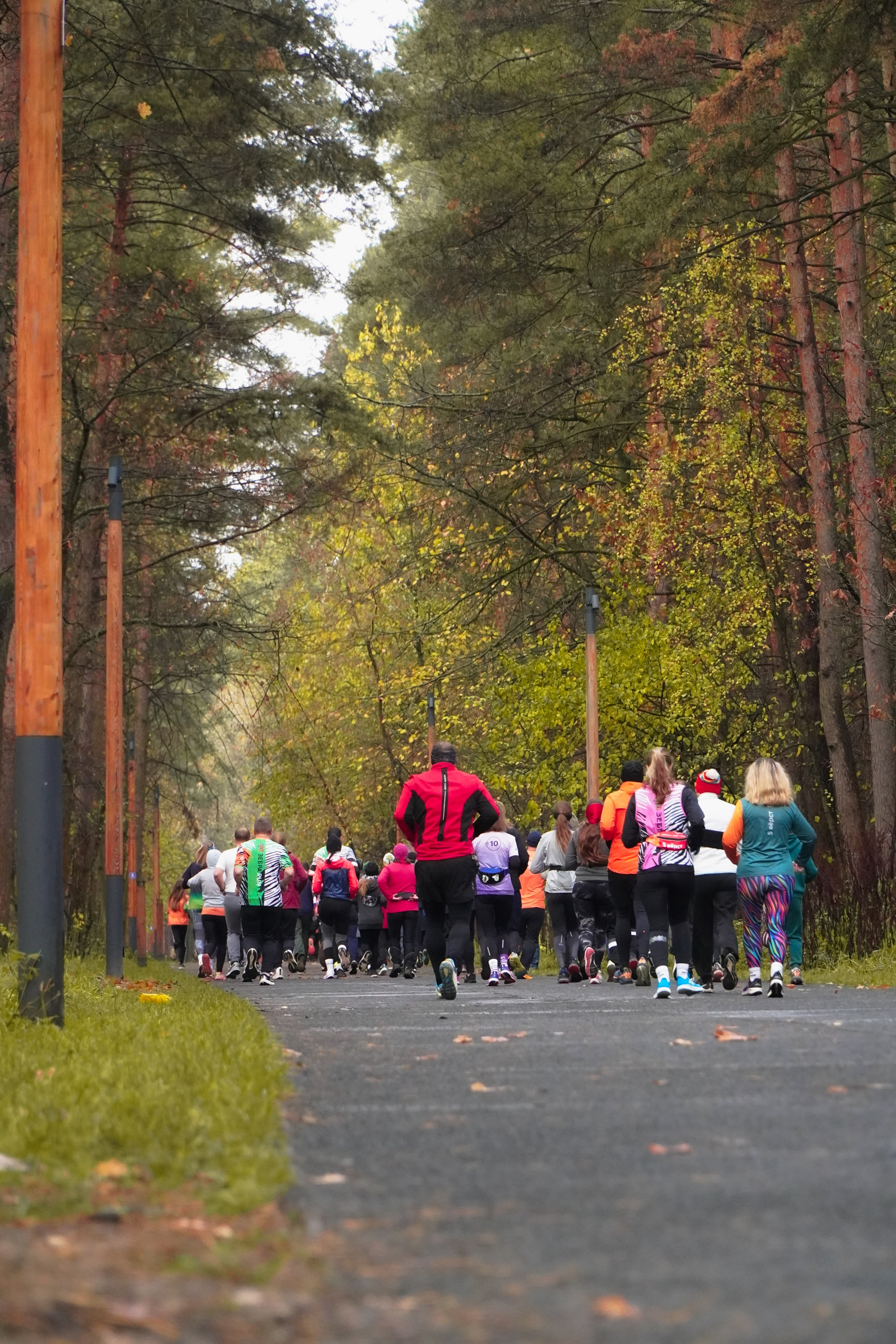 5 вёрст Томилинский 3 года 18 октября 2025. Роман Капилюшов. Бег. Фото. Видео. г. Люберцы