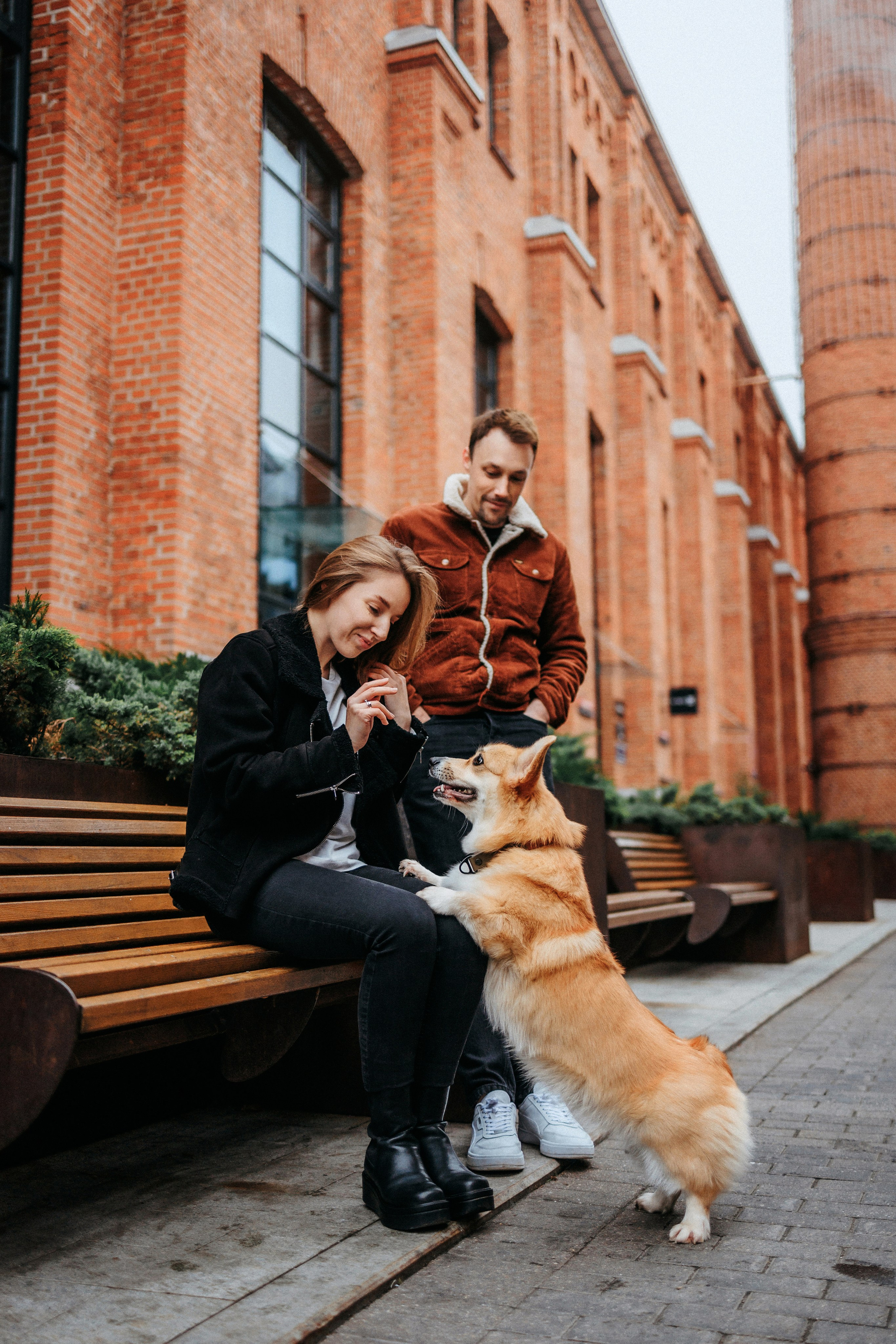 Вера, Саша и Муна. Фотограф-анималист Елена Радченко, Москва