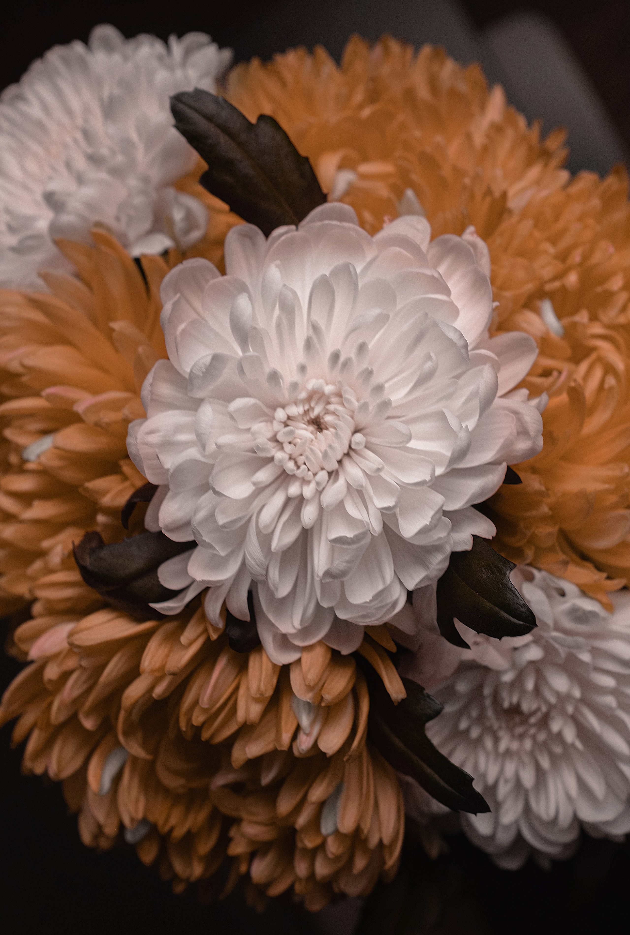 Портретный фотограф