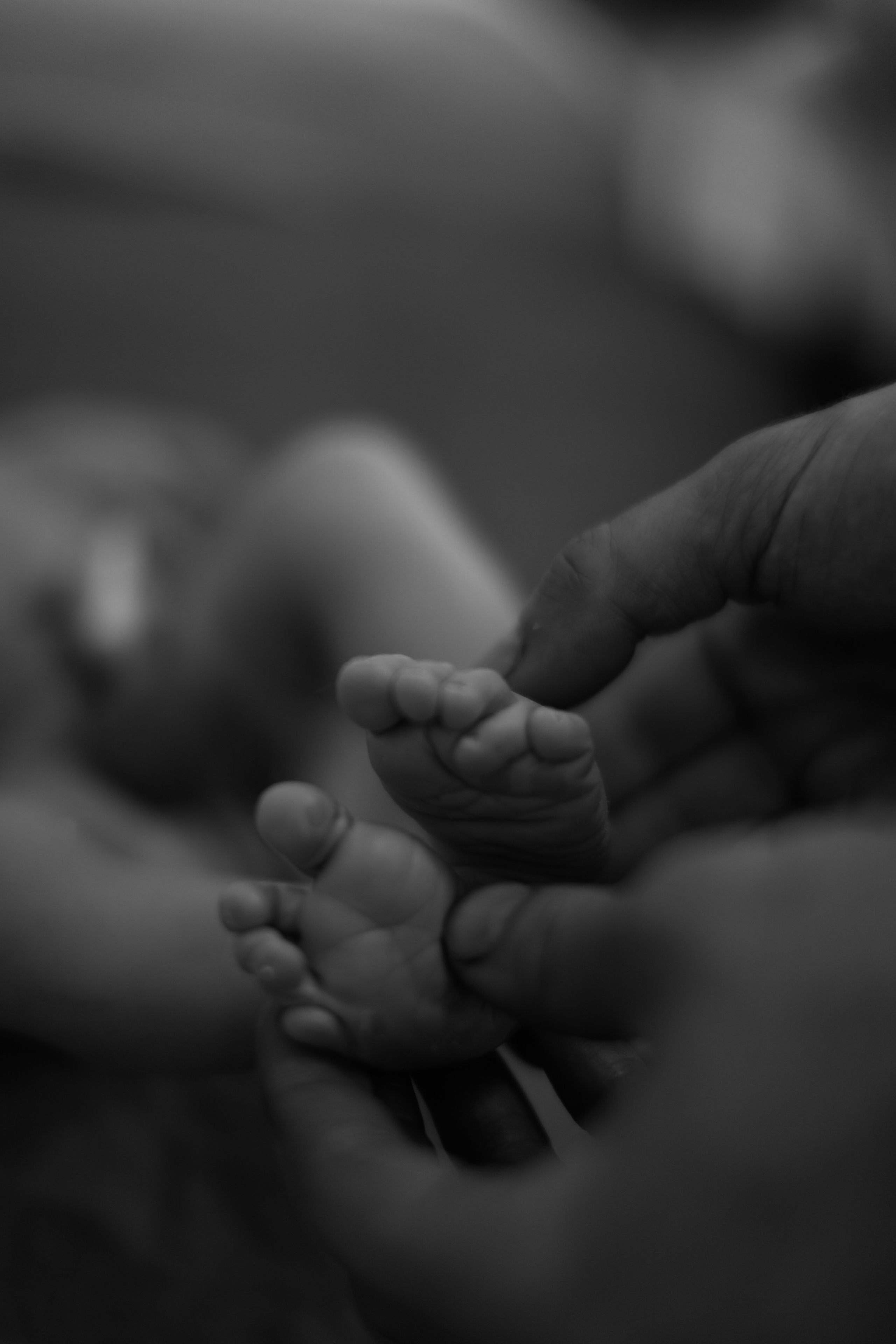 Рождение Марка. Фотограф Олеся Милош Мытищи, Москва и МО и весь мир