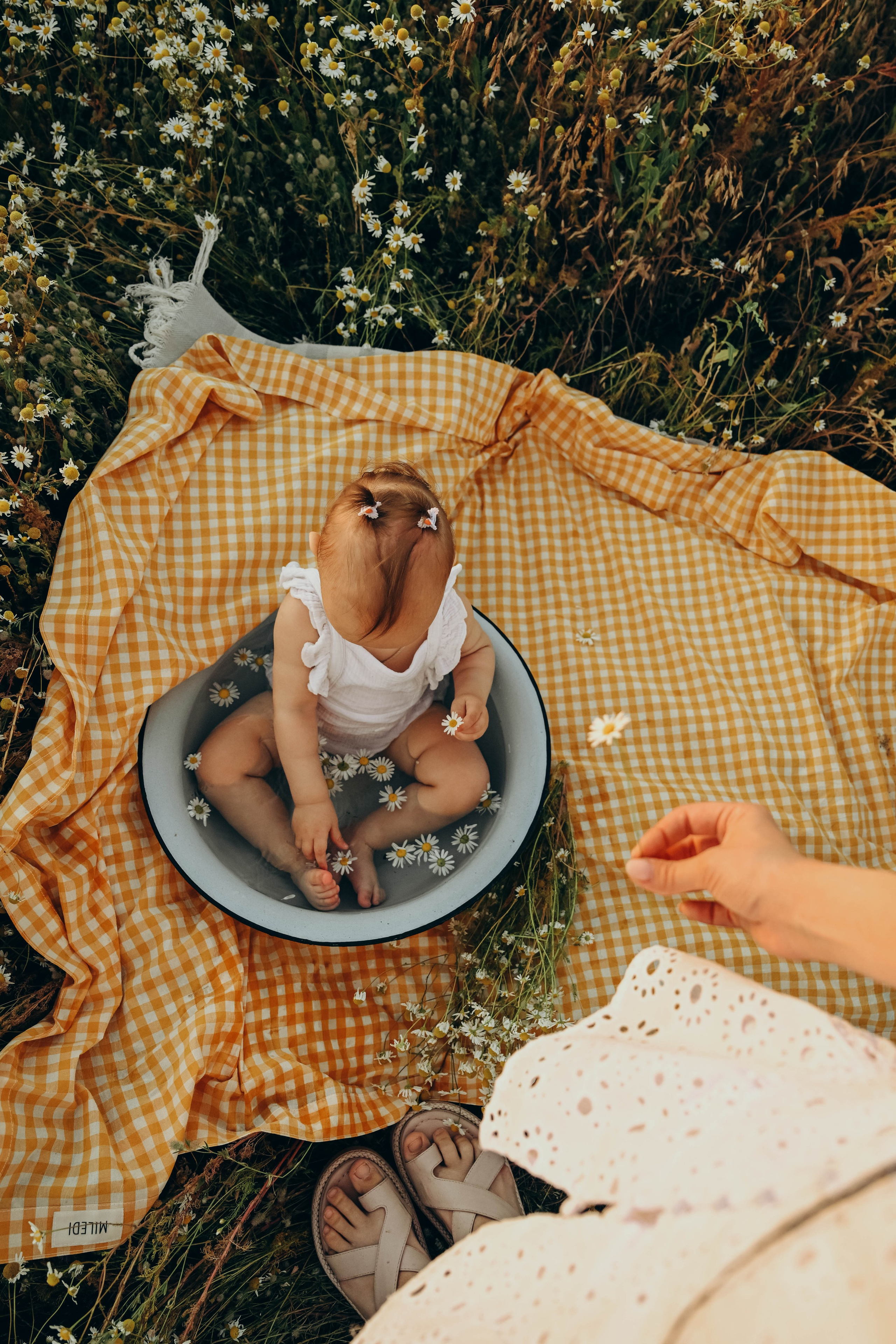 Ромашковое поле. Семейный фотограф в Москве Люберцах Ирина Вронская