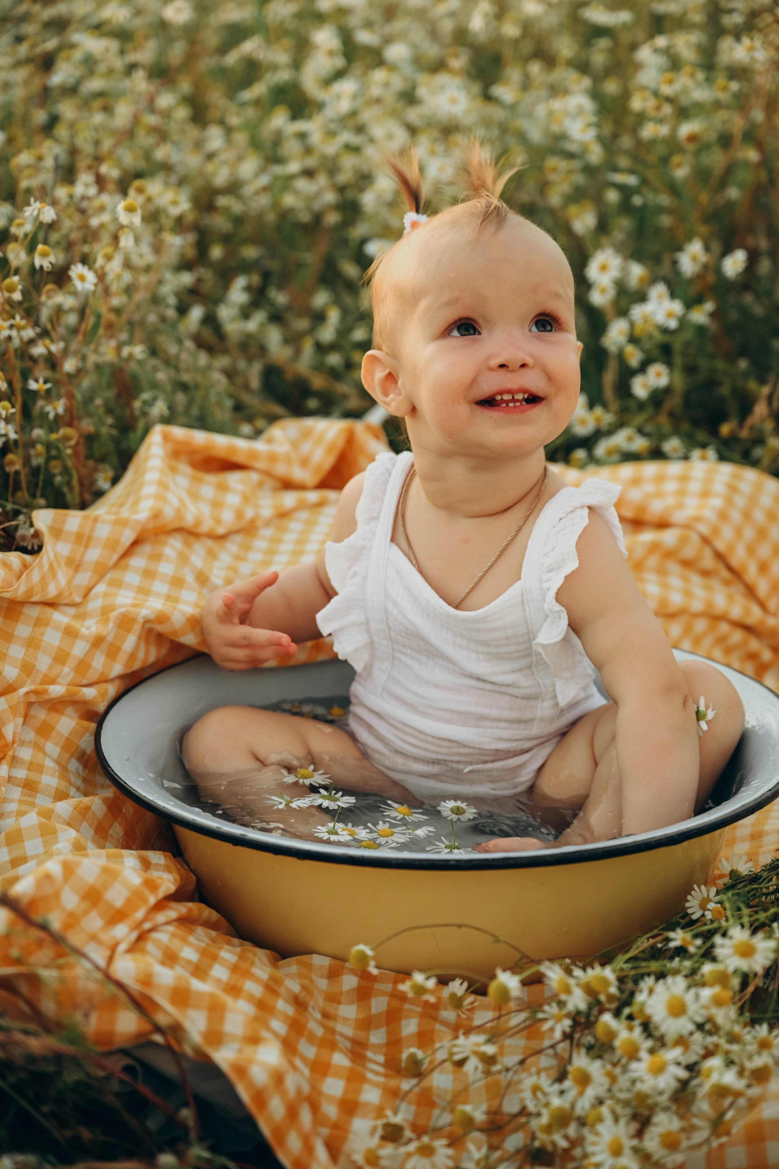 Ромашковое поле. Семейный фотограф в Москве Люберцах Ирина Вронская