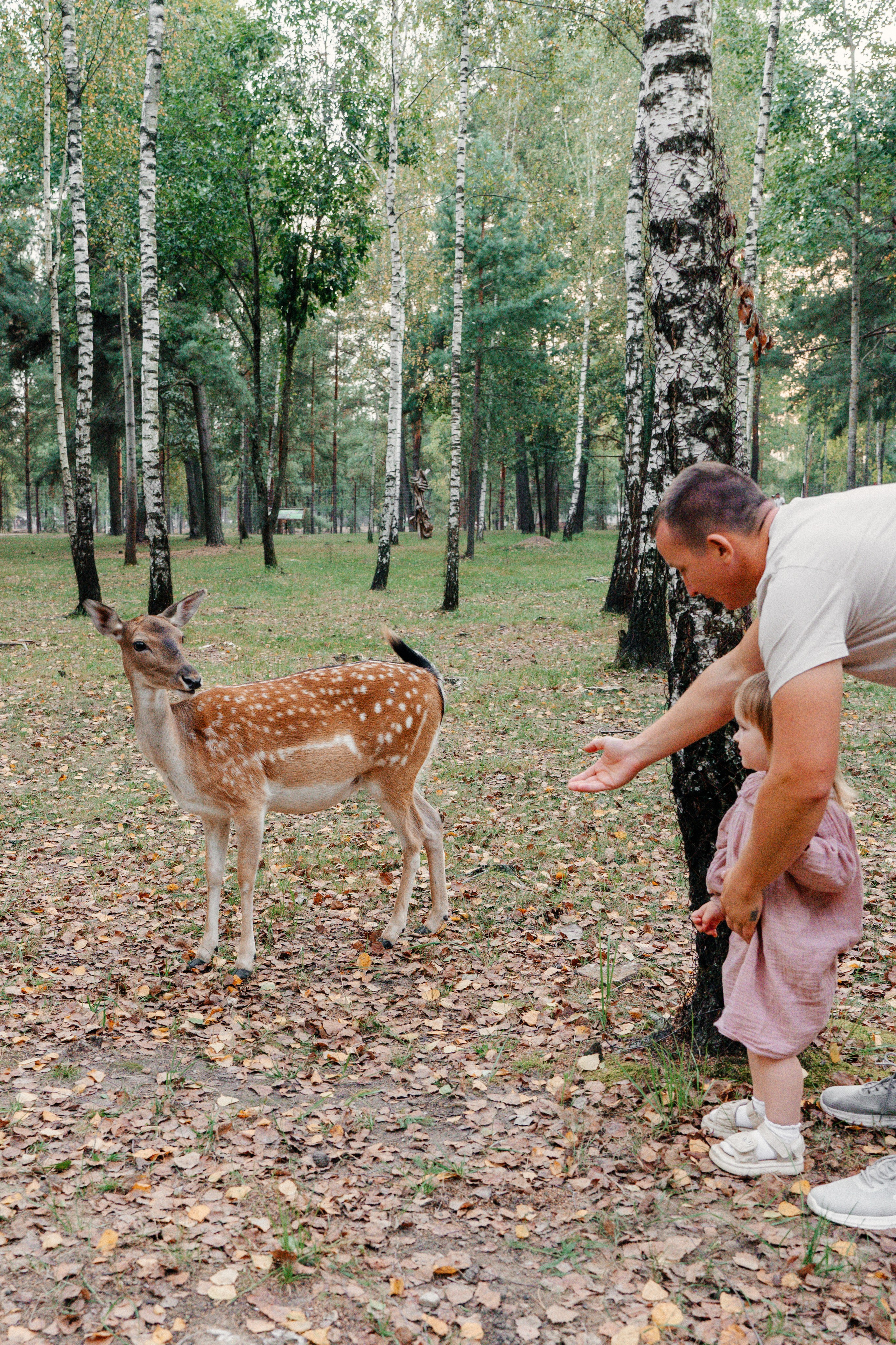 Диприз — в мире диких животных. Ваш семейный фотограф в Минске — Вика Трегубова