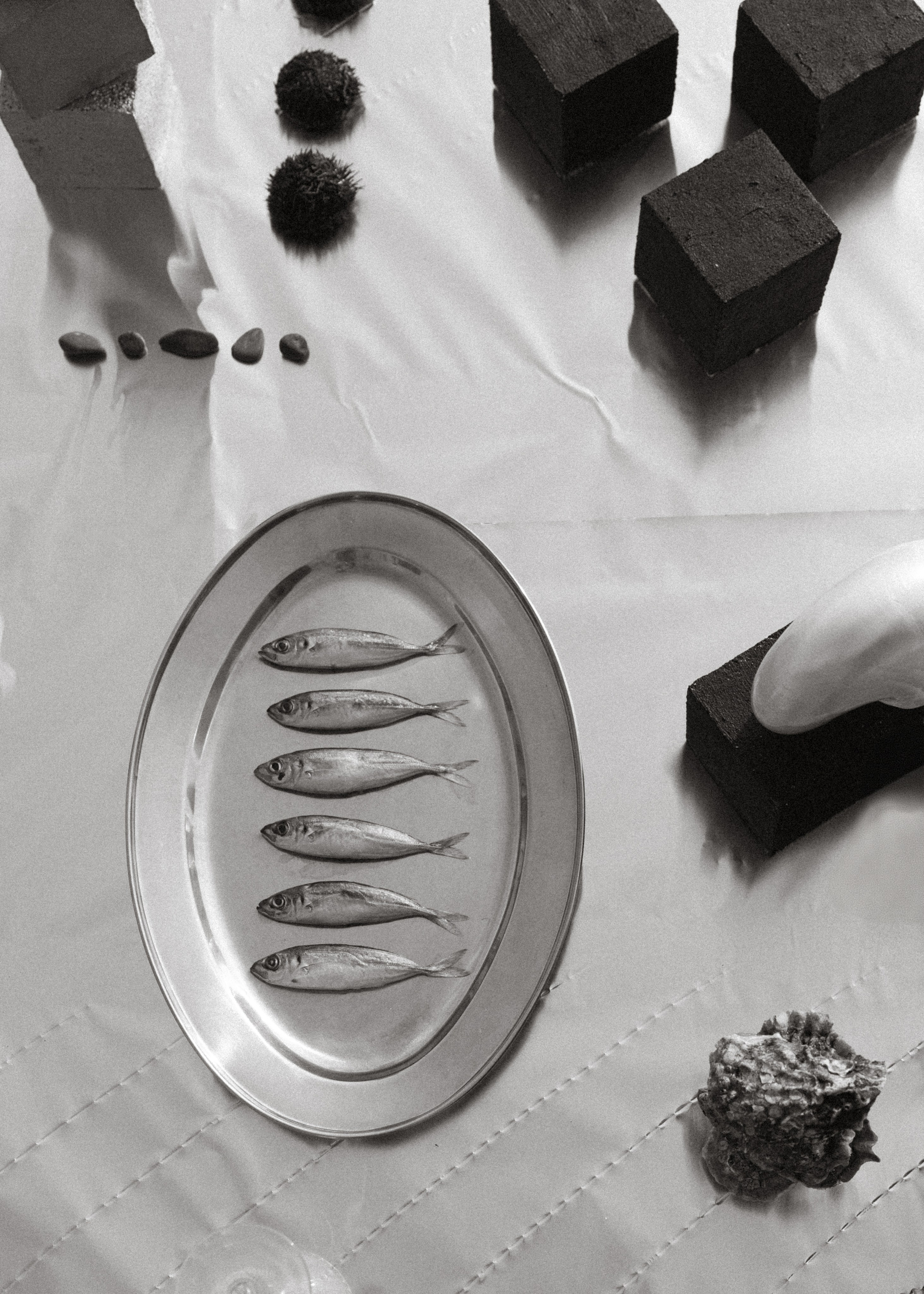 Алхимия. Свадебное агентство «LUKHMANOVA.Weddings&Events»