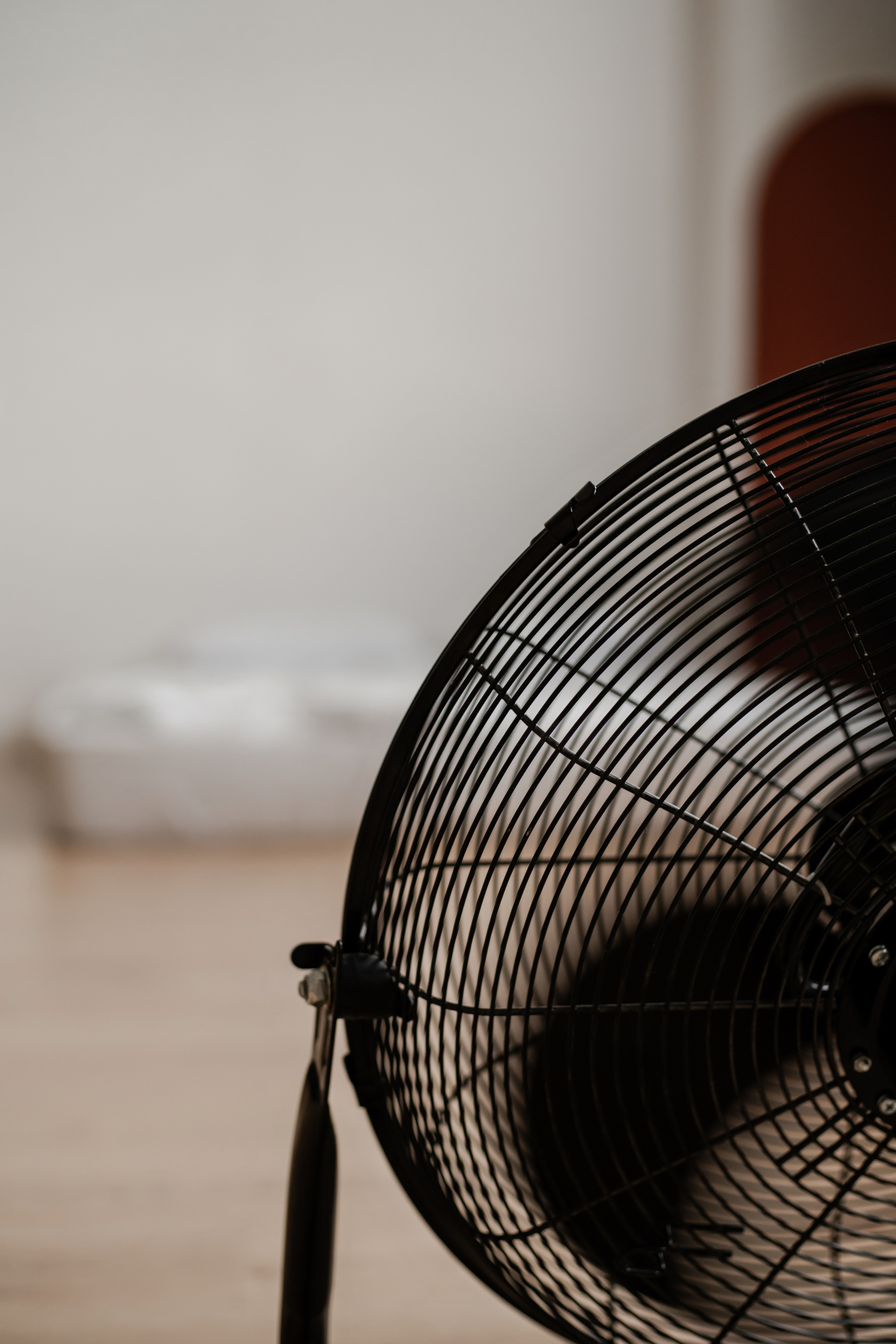 Аделина. Фотограф Алина Филимонова Тверь