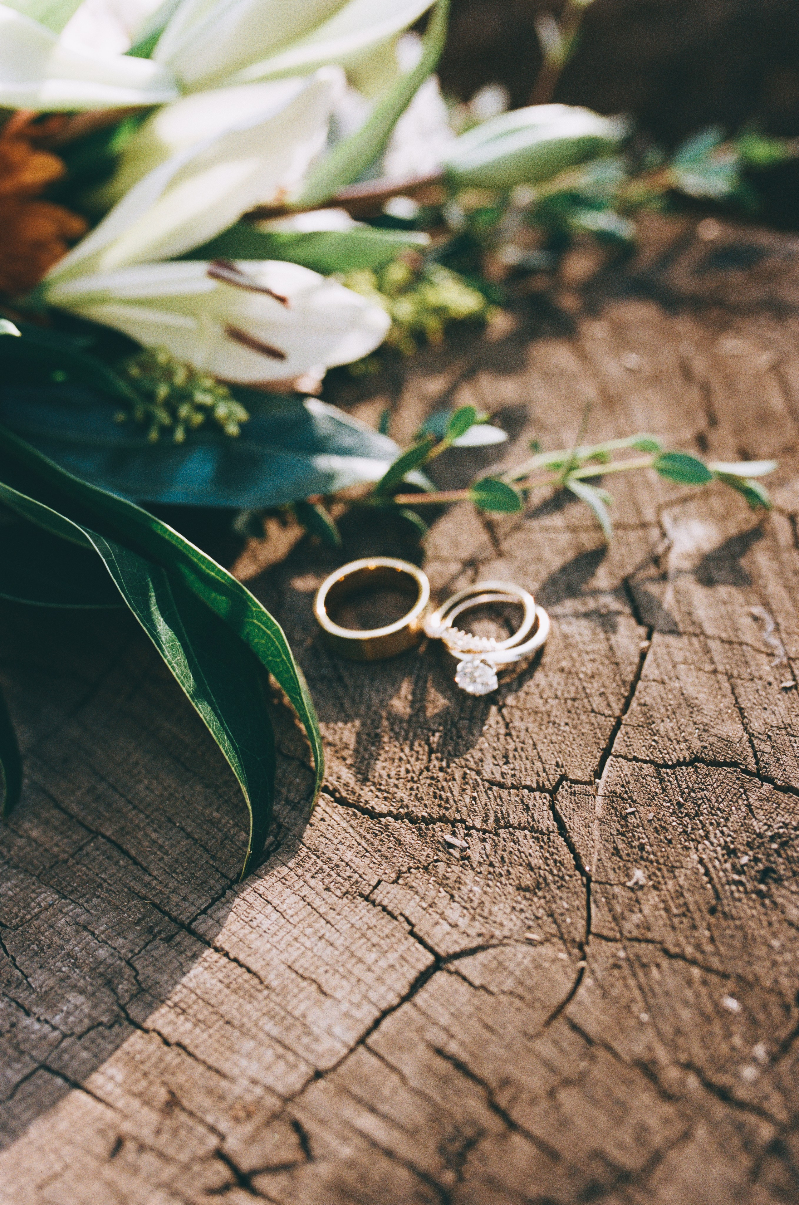 a close up photo on film of the wedding rings