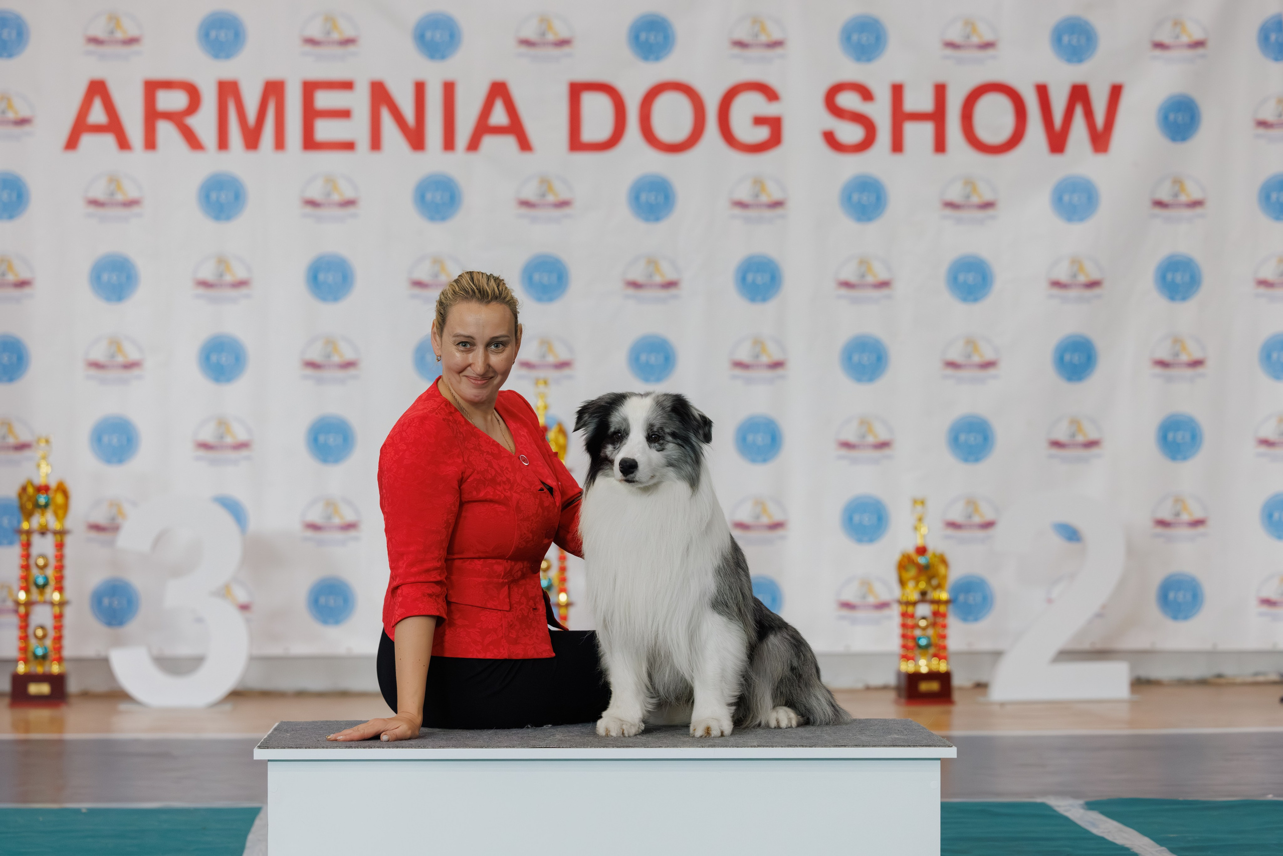 Ереван 2х CACIB 29-30.04.2025. Фотограф-анималист Юлия Германика