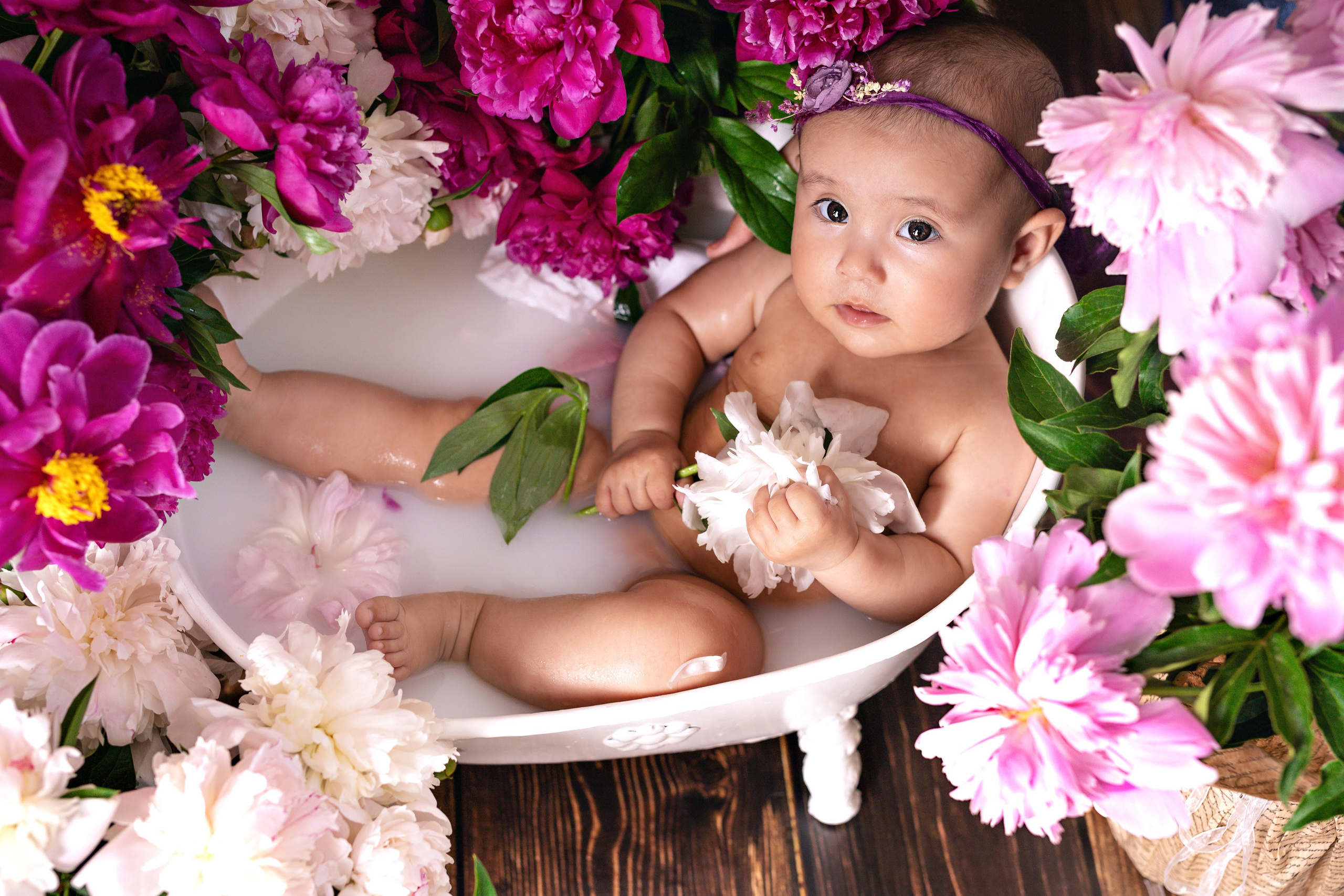 Пионы, молочные ванны. Фотограф Болотова Иветта