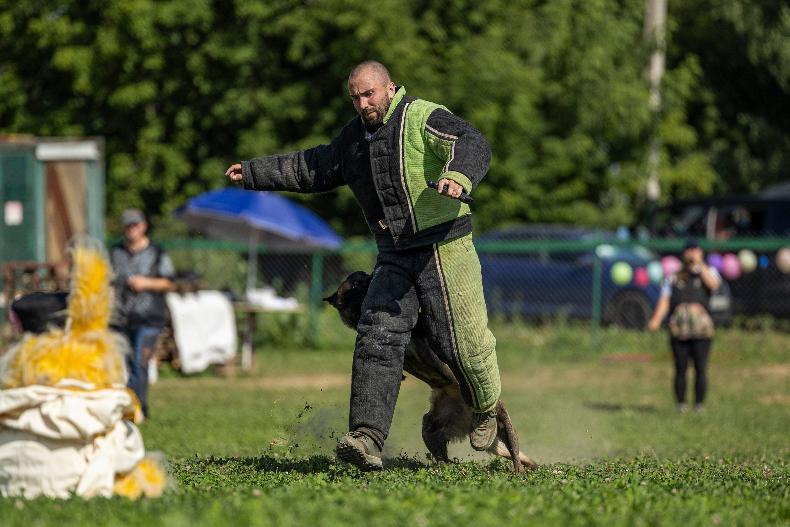 Соревнования по Мондьорингу г. Вологда 10-11.08.2024. Фотограф-анималист Анна Маринич