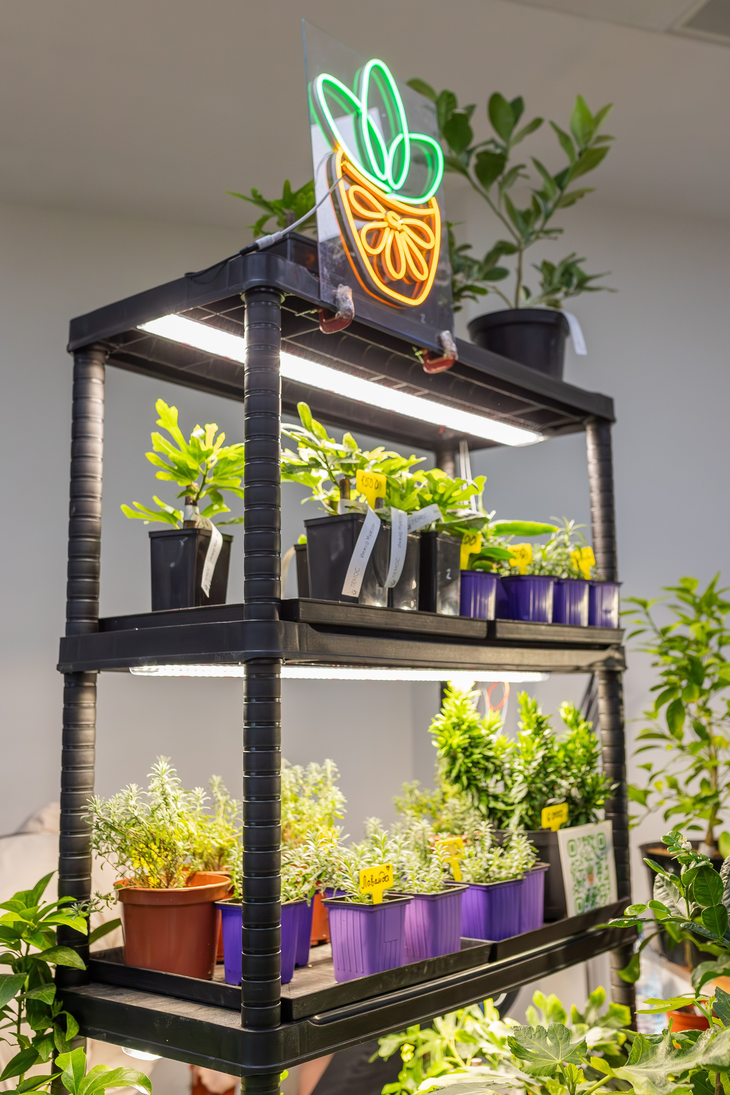 Монстериум апрель 2026. Александра Куликова фотограф, Москва