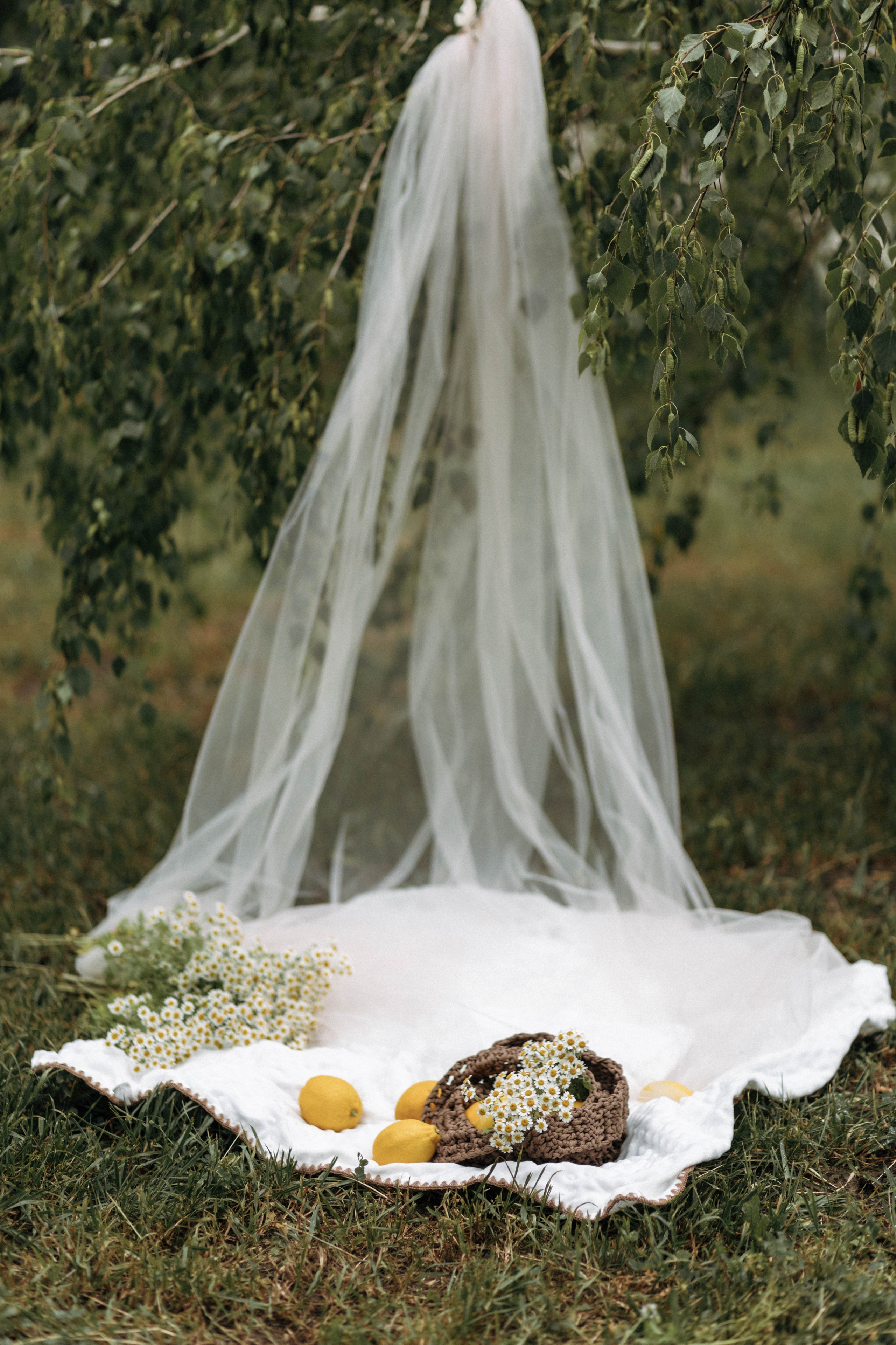 Лев и Маша. Фотограф Сальск Катерина