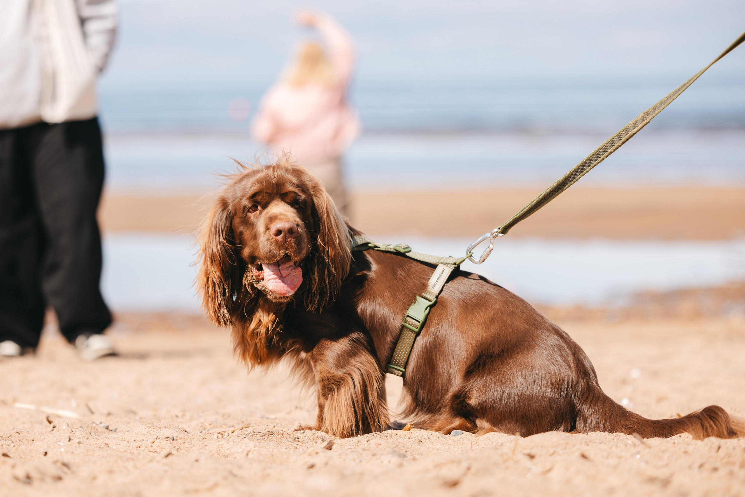 Спанимания. Фотограф анималист Осипчикова Мария
