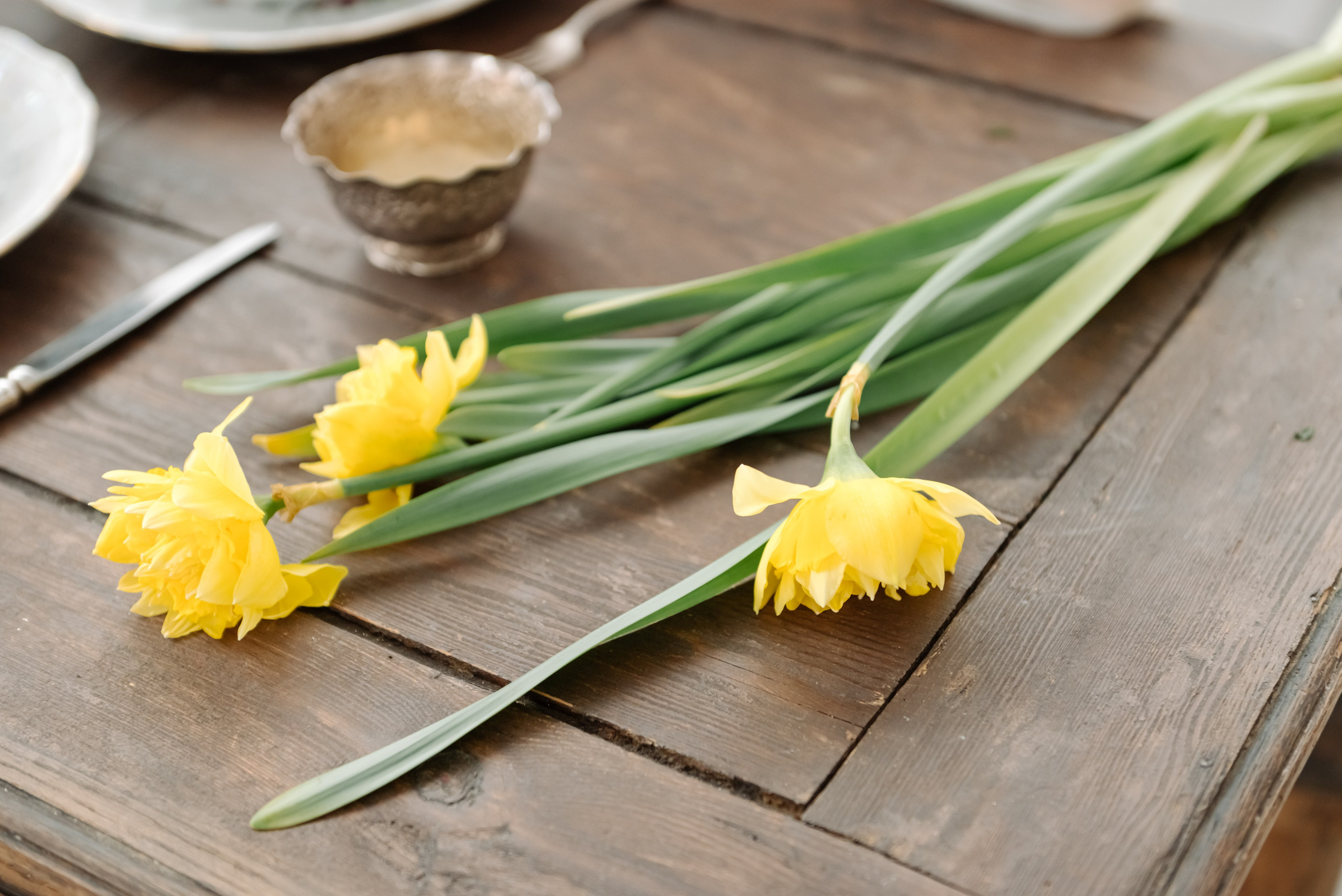 Индивидуальная. Цветочное настроение. Свадебный и сеейный фотограф в Санкт-Петербурге Елена Худякова