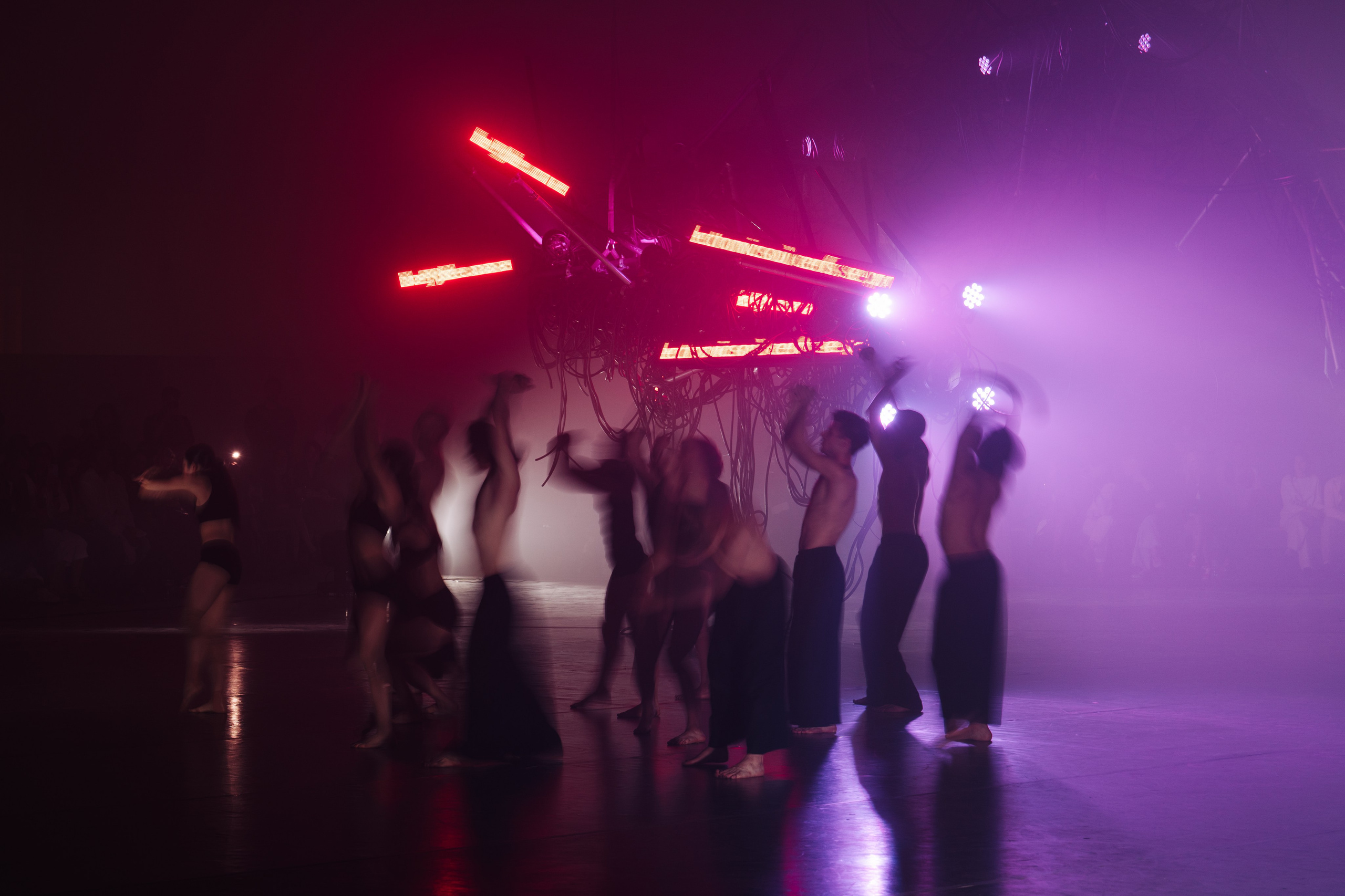 PERFORMA, The Hour of the Horse. @tomrus: Рустам Шагиморданов — фотограф